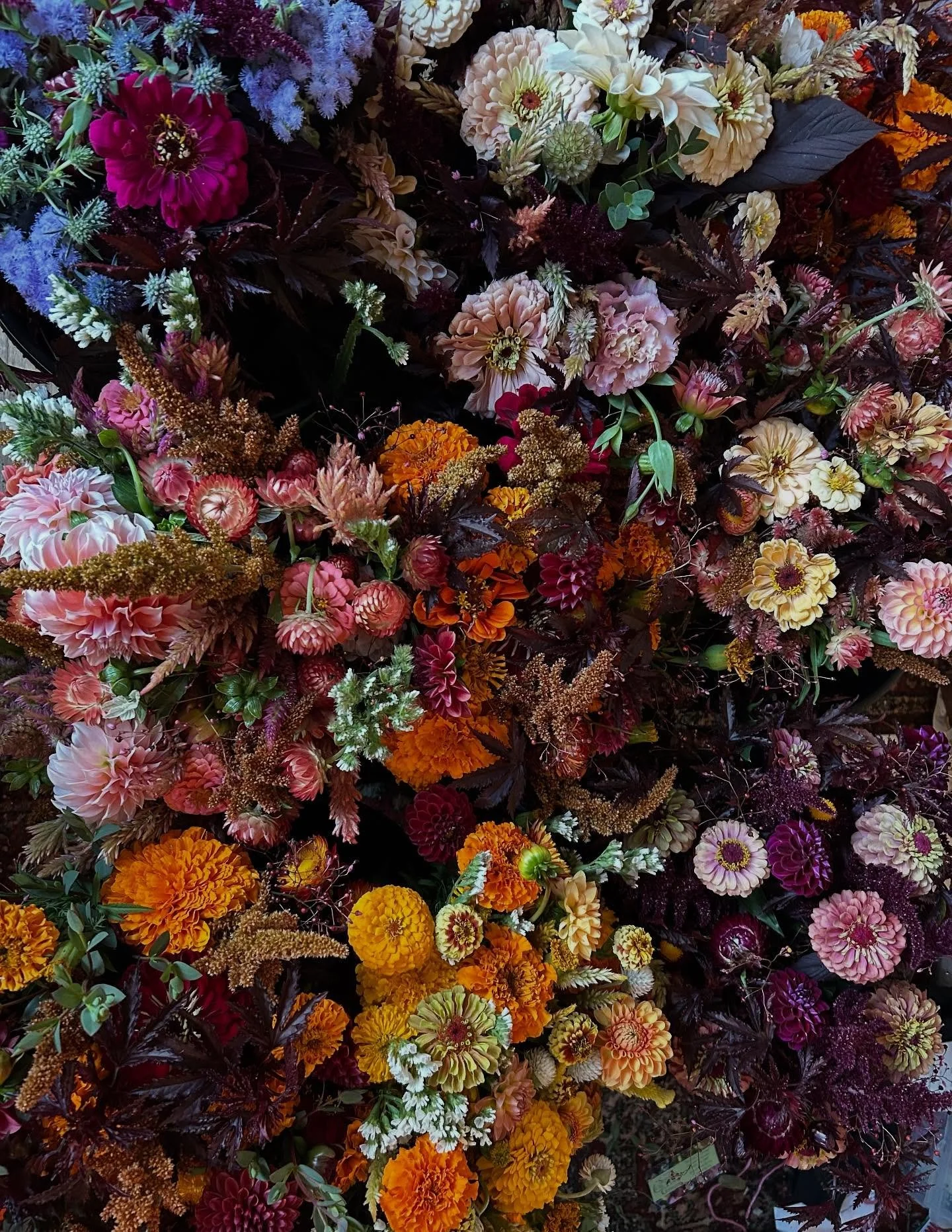 That&rsquo;s a wrap on all 2025 bouquet subscriptions! The final deliveries went out this morning ☺️💐🍁🍂

Thank you to everyone who purchased flowers from me this year, I&rsquo;m so grateful I get to bring little moments of beauty and joy into othe