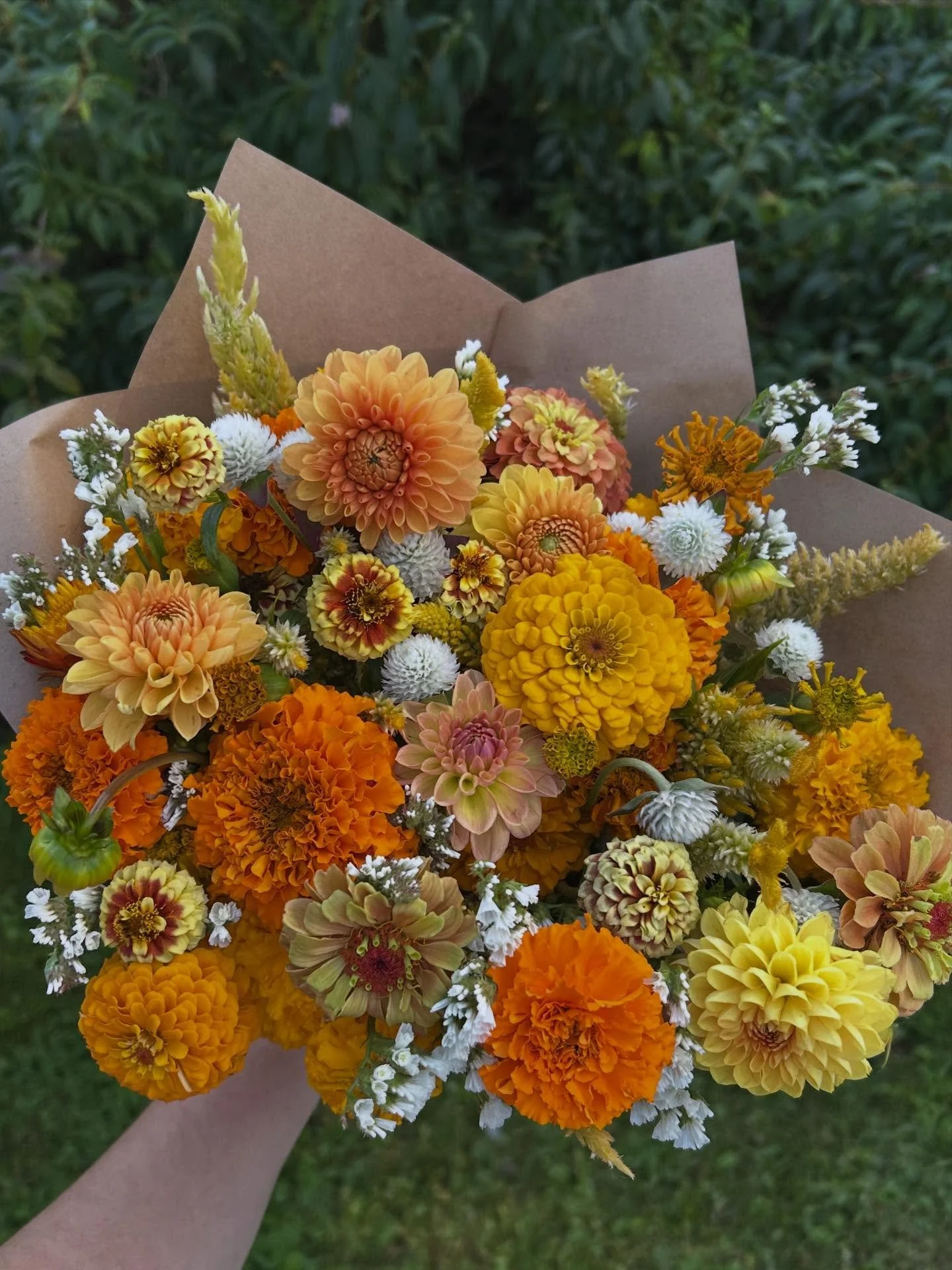 Some of the last flowers of the season, harvested before the frost 💐🍁🍂