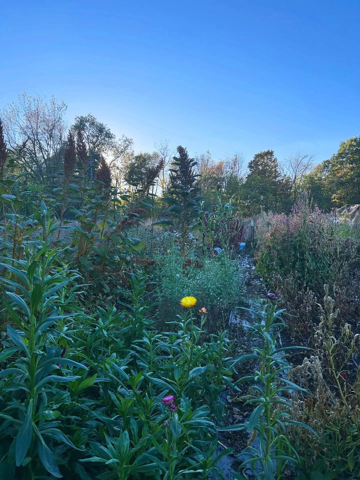 Mid-October 🍁🍂☺️