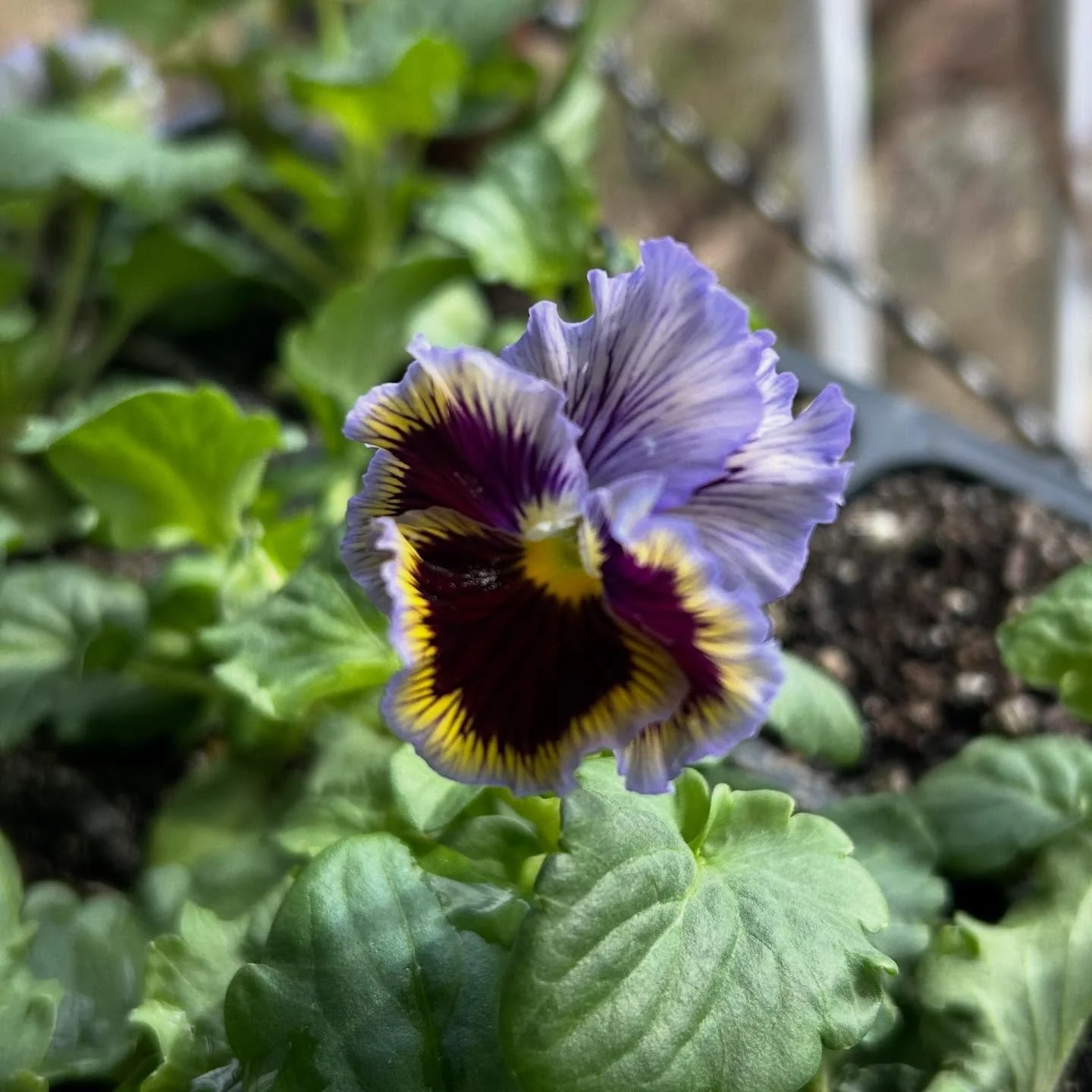 The sweetest little faces 😊