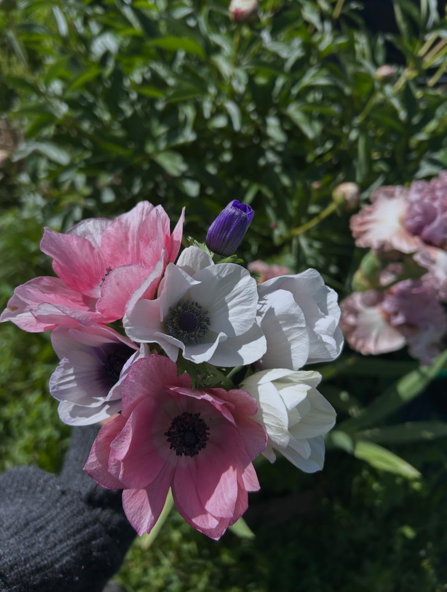 Beautiful May 💐🥰