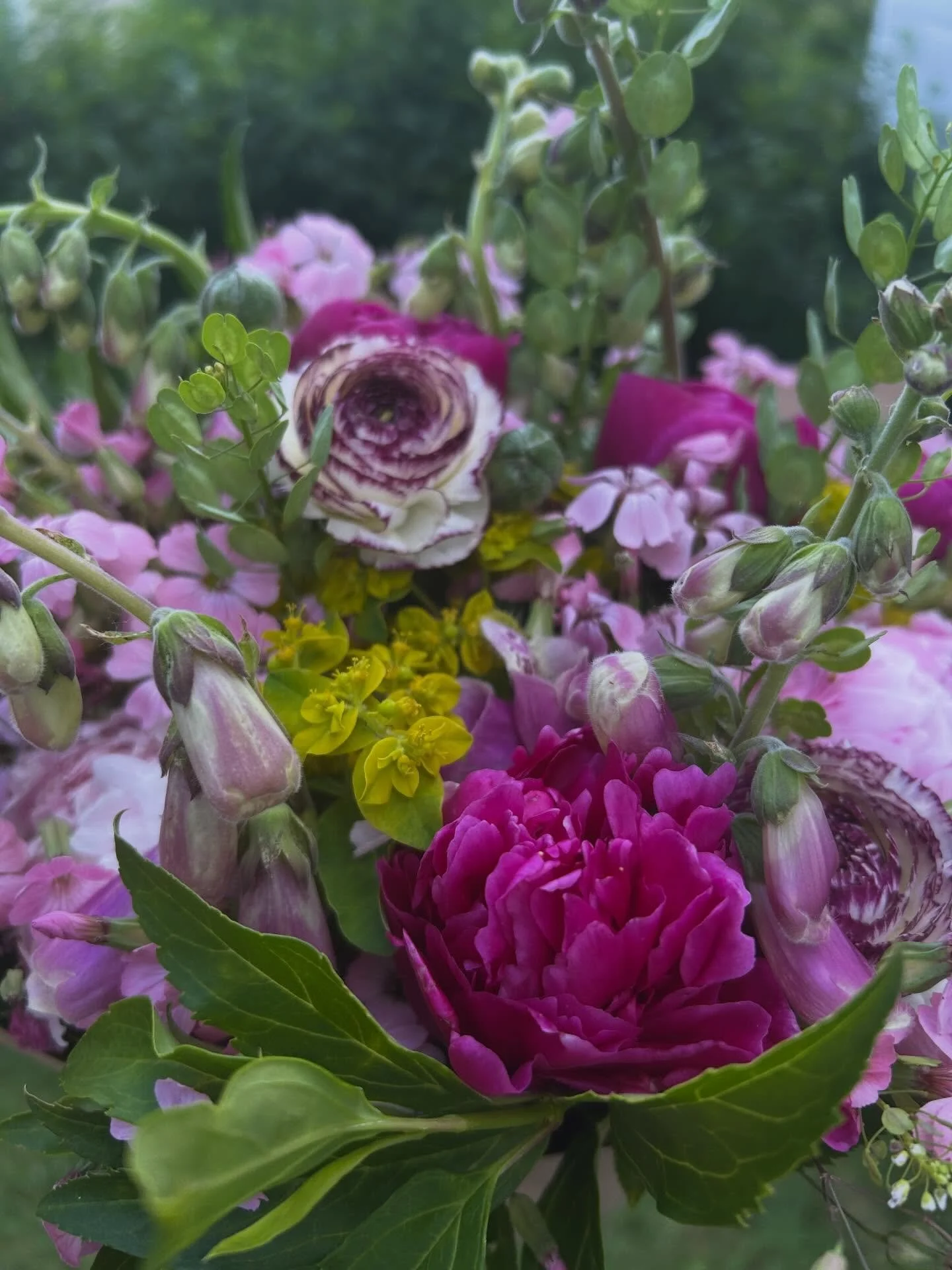 Peonies, ranunculus, &amp; foxgloves, oh my!