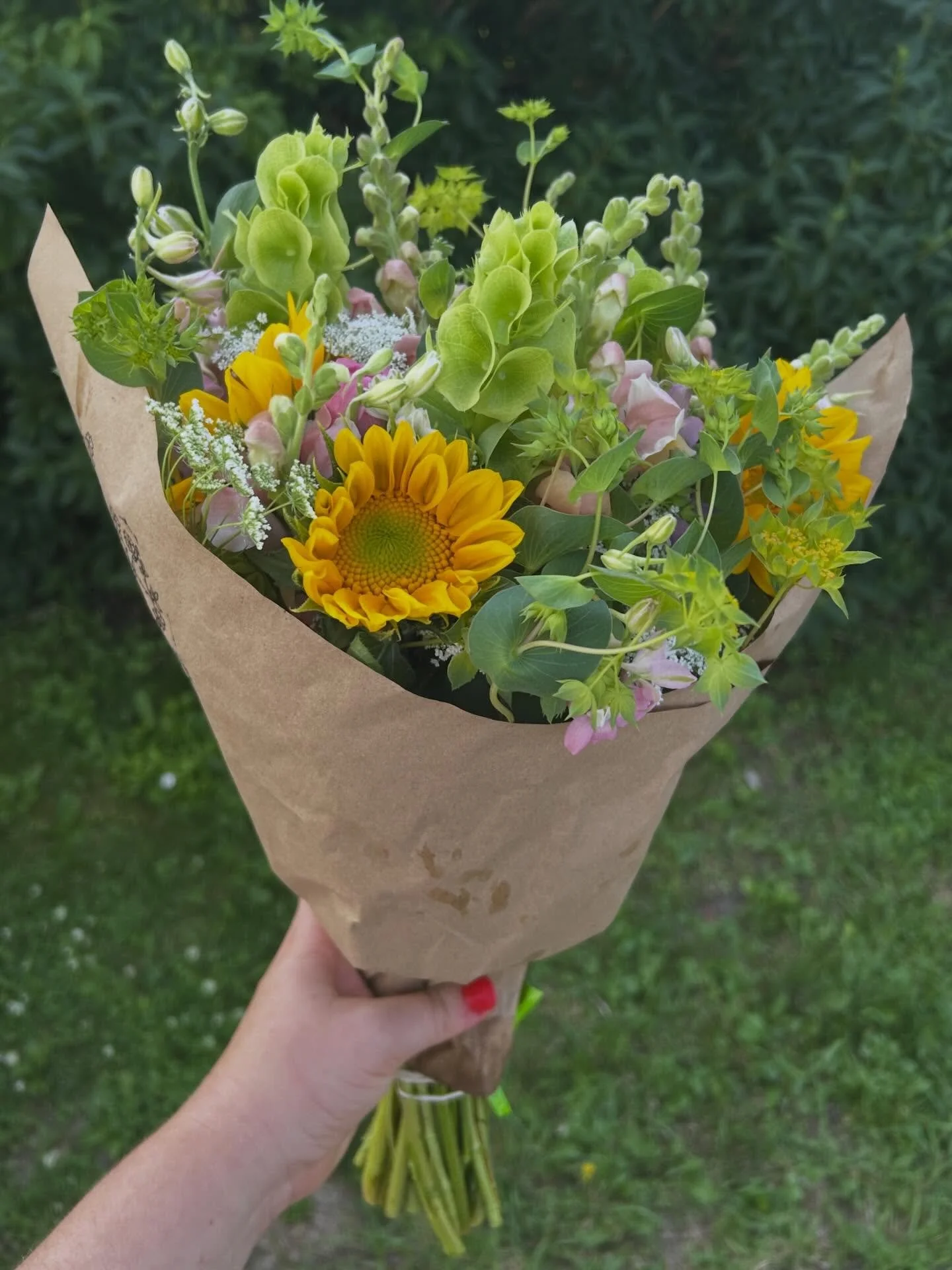 Cheerful sunflowers and bright bells of Ireland! Great way to start July