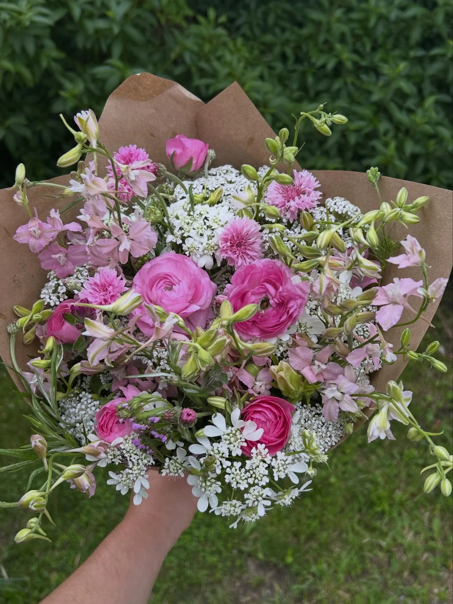 Listen, I love pink flowers 💕