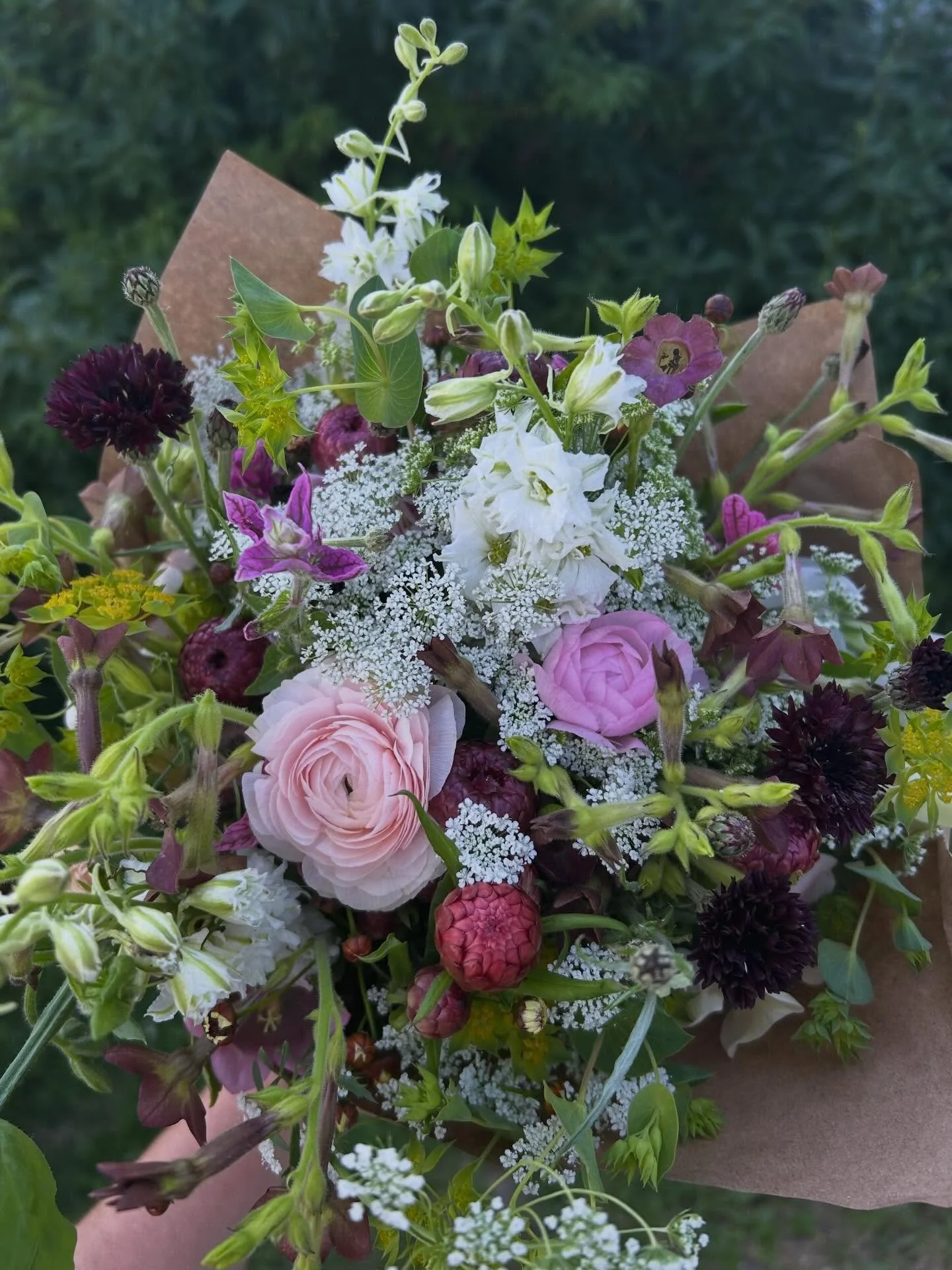 🌸🌺🌷💐 truly the last ranunculus this time