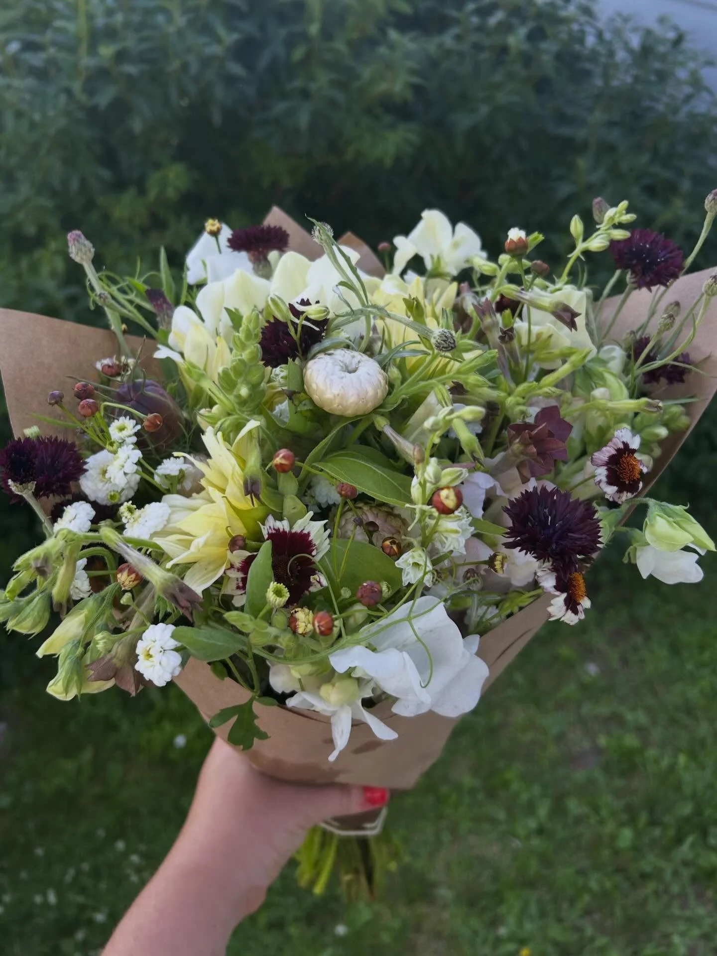 🖤🤍💐