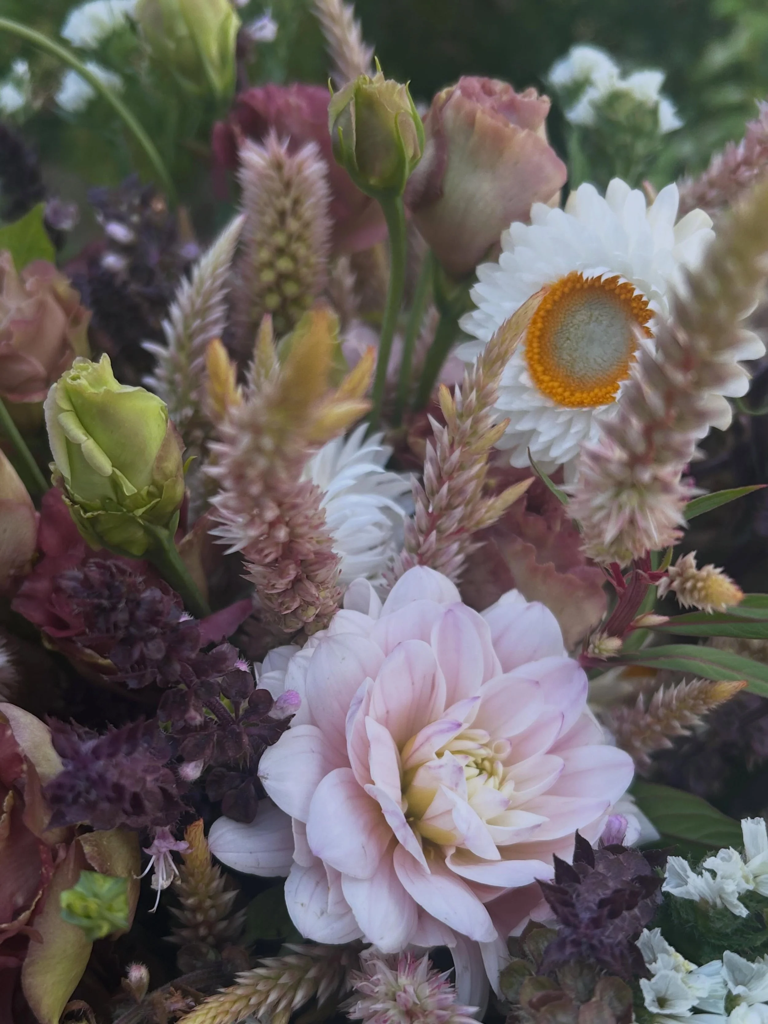 Roseanne Brown lisianthus, Silver Years dahlias, lots of fun textures and fillers ☺️💐