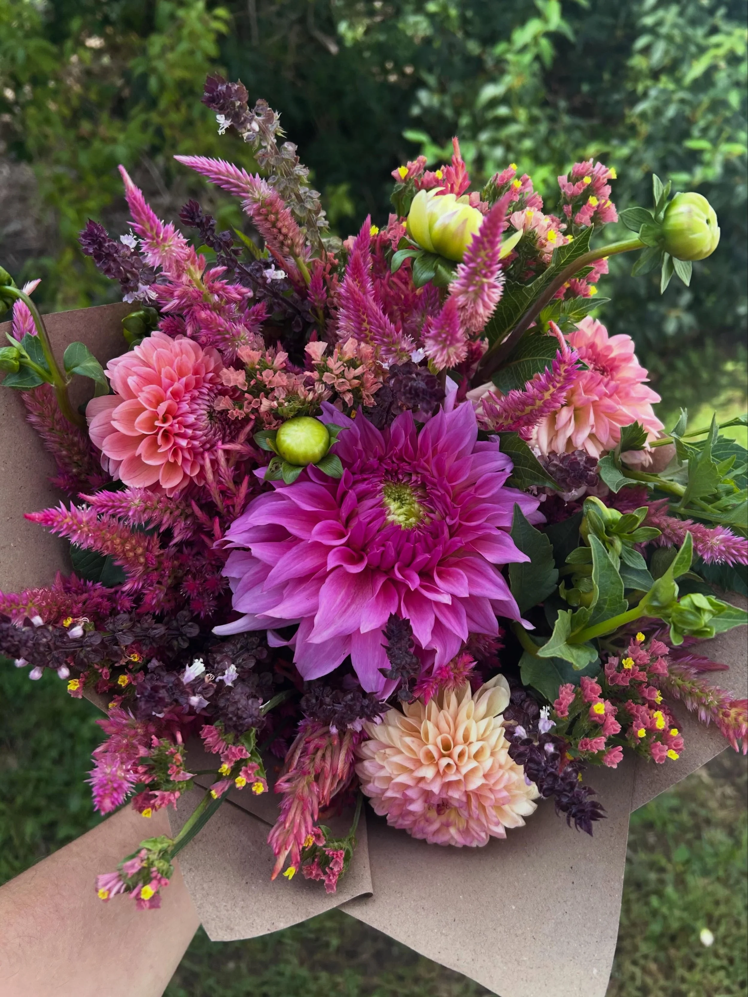 The summer and autumn dance when seasons slowly shift 💕☺️💐