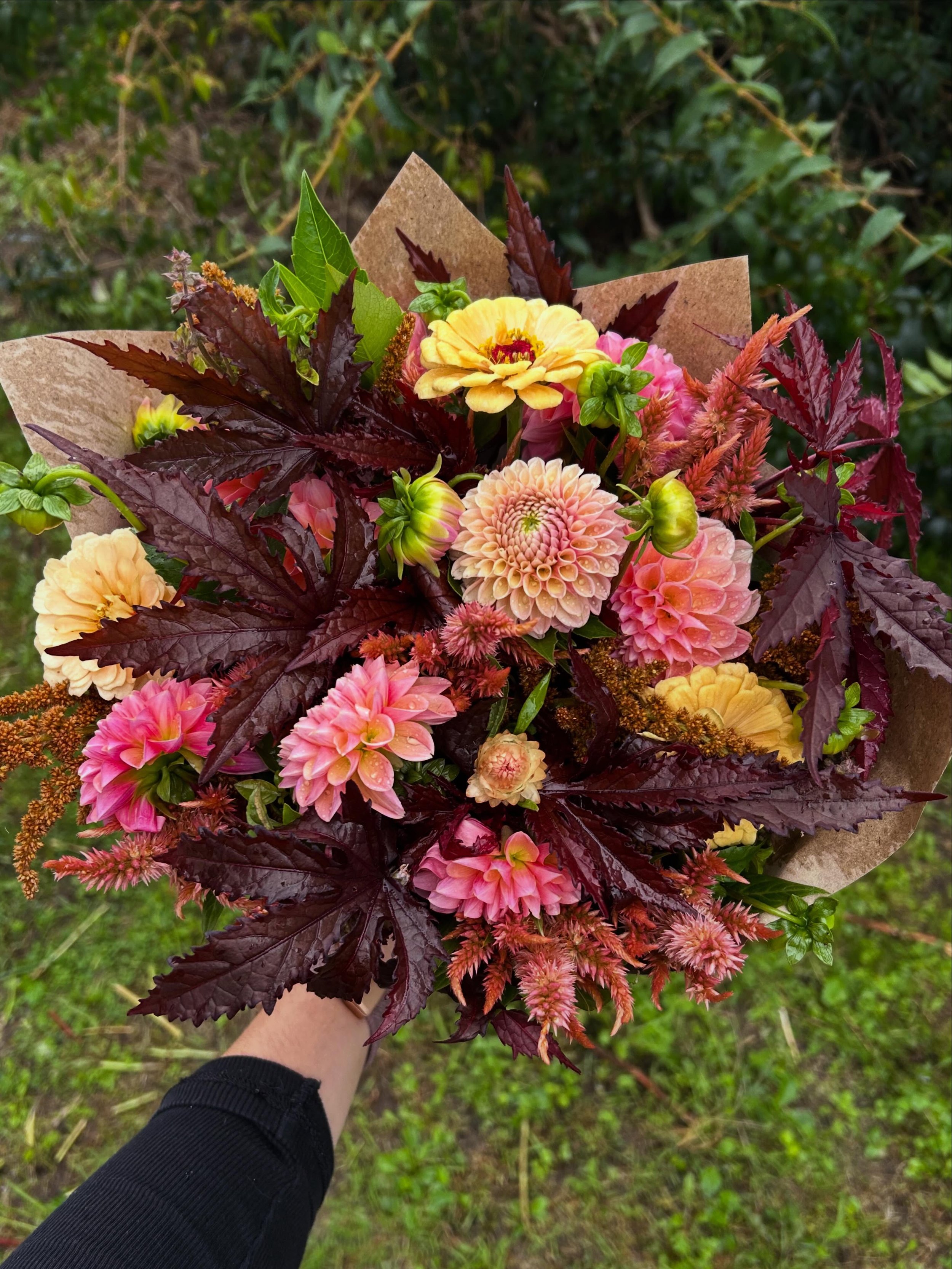 I love autumn flowers so much ☺️🍁🍂