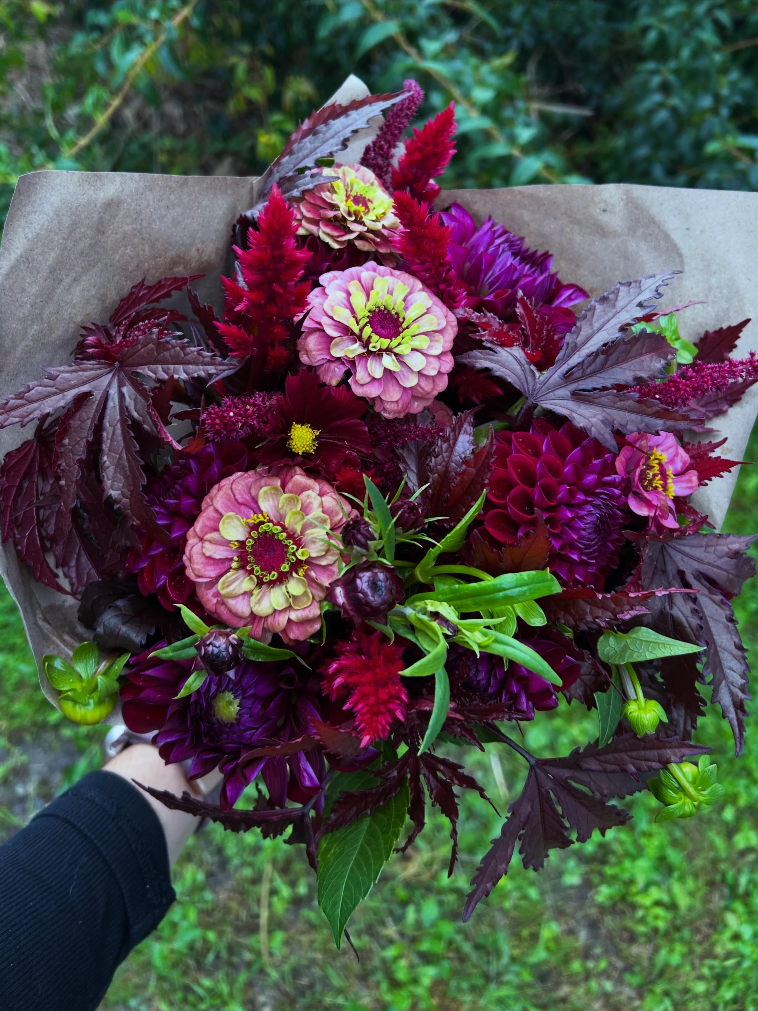 🧙🏻&zwj;♀️🍁🍂💐