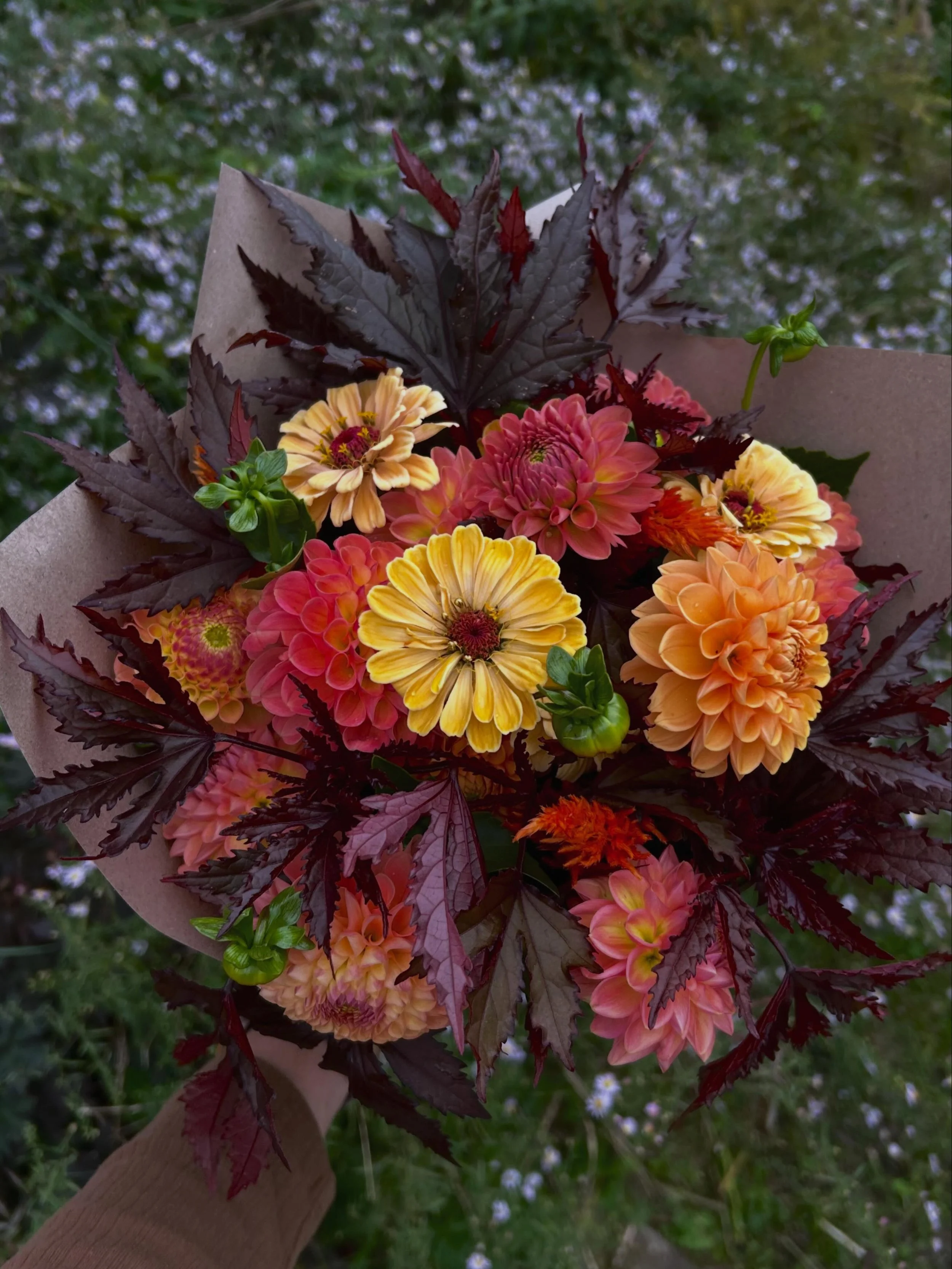 Today is the final pickup for my 2026 bouquet subscription, so many autumnal beauties to choose from 🙌💐💕
