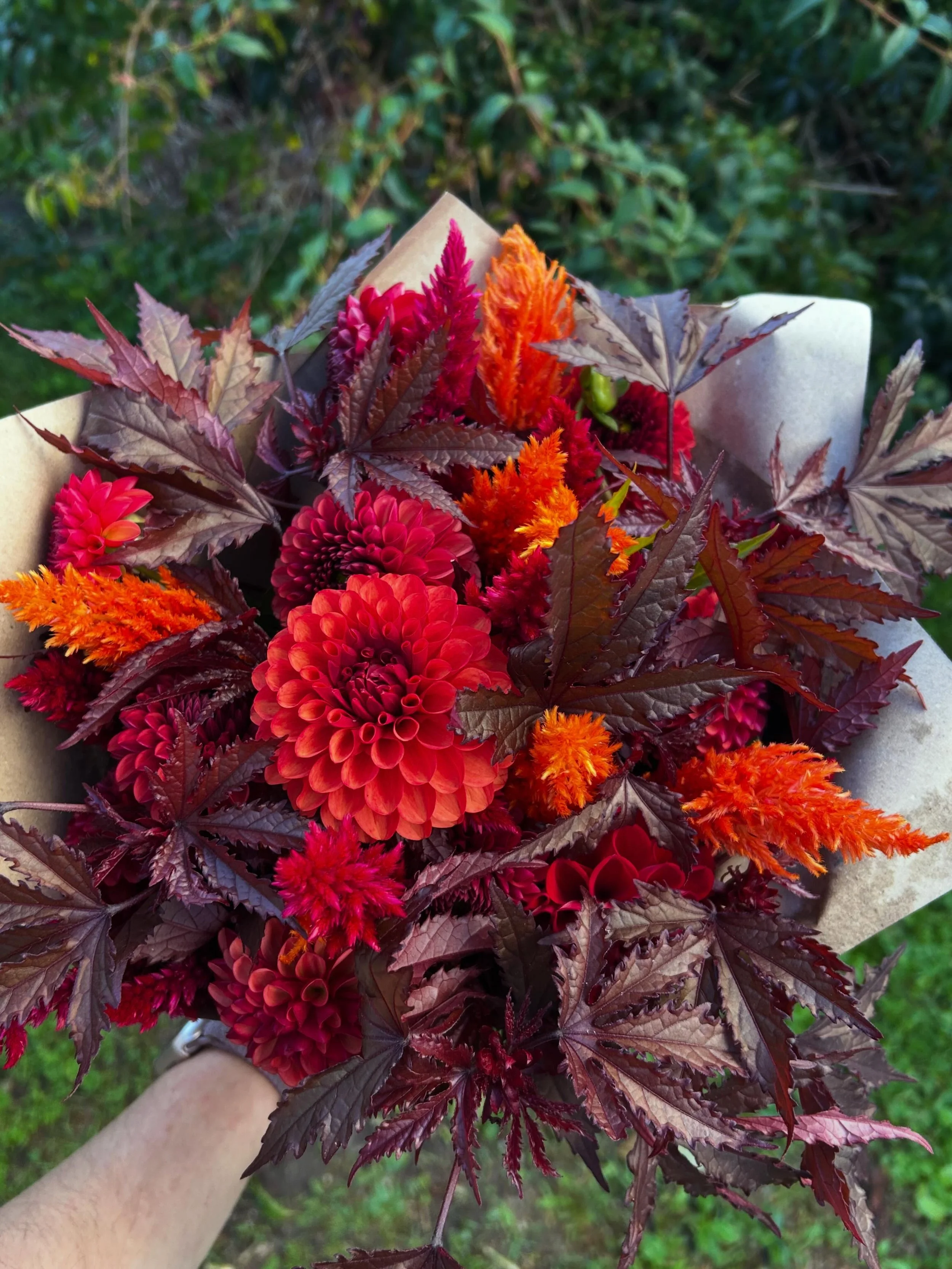 October flowers 🧡🎃🍂🍁