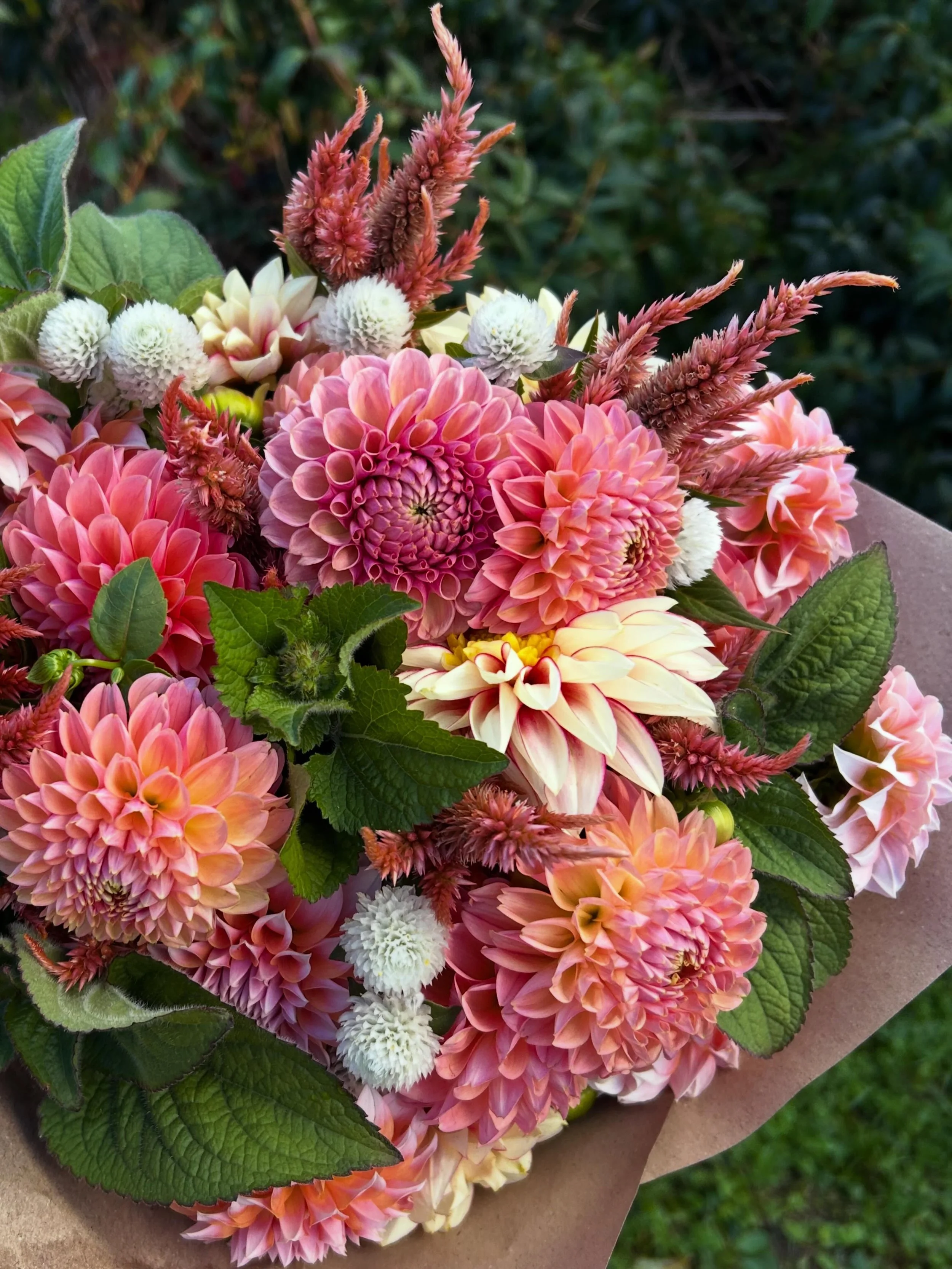 A handful of dahlias and simple filler 💐