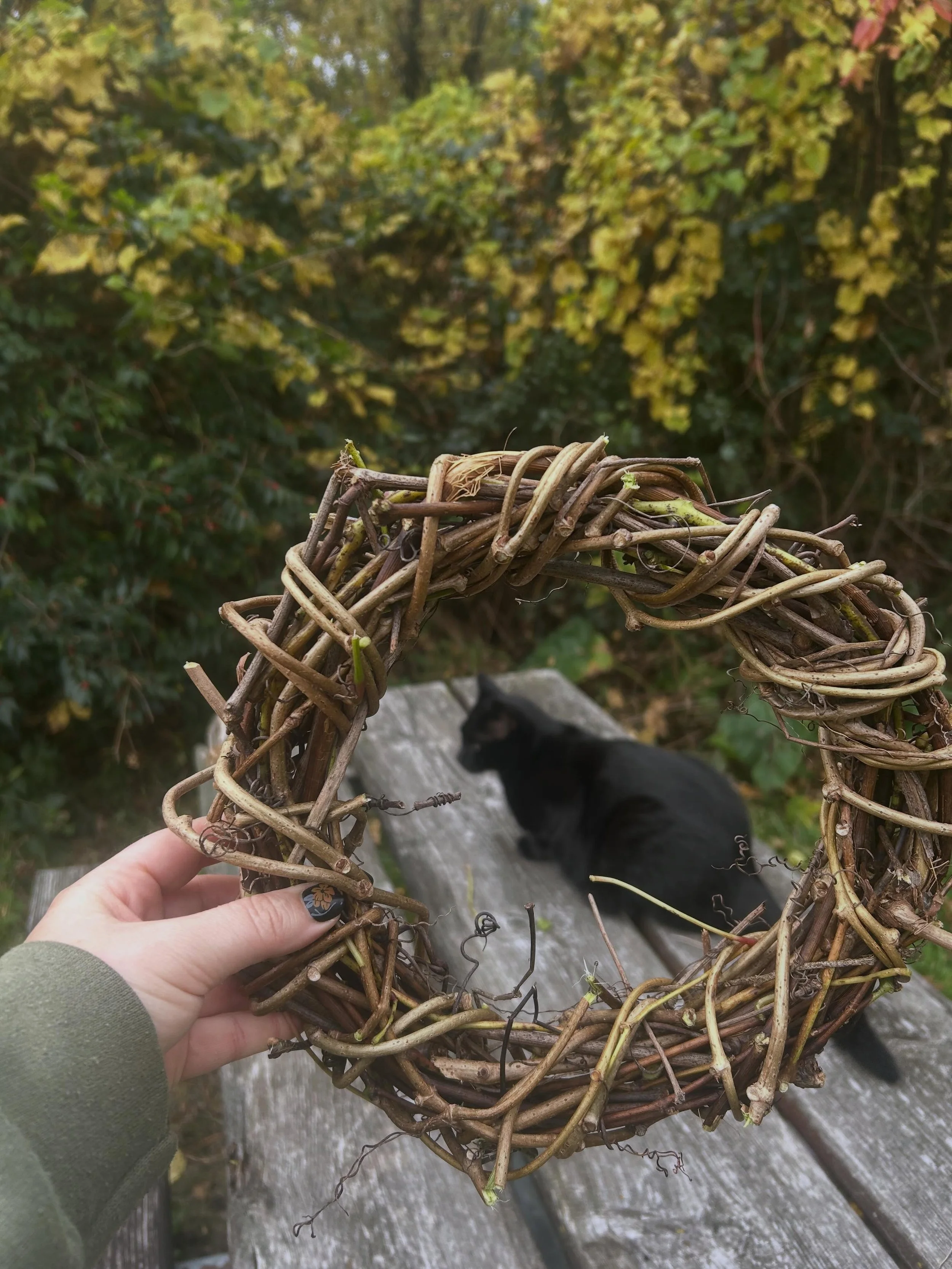 Made wreath bases from foraged vines for the first time, so easy and fun!