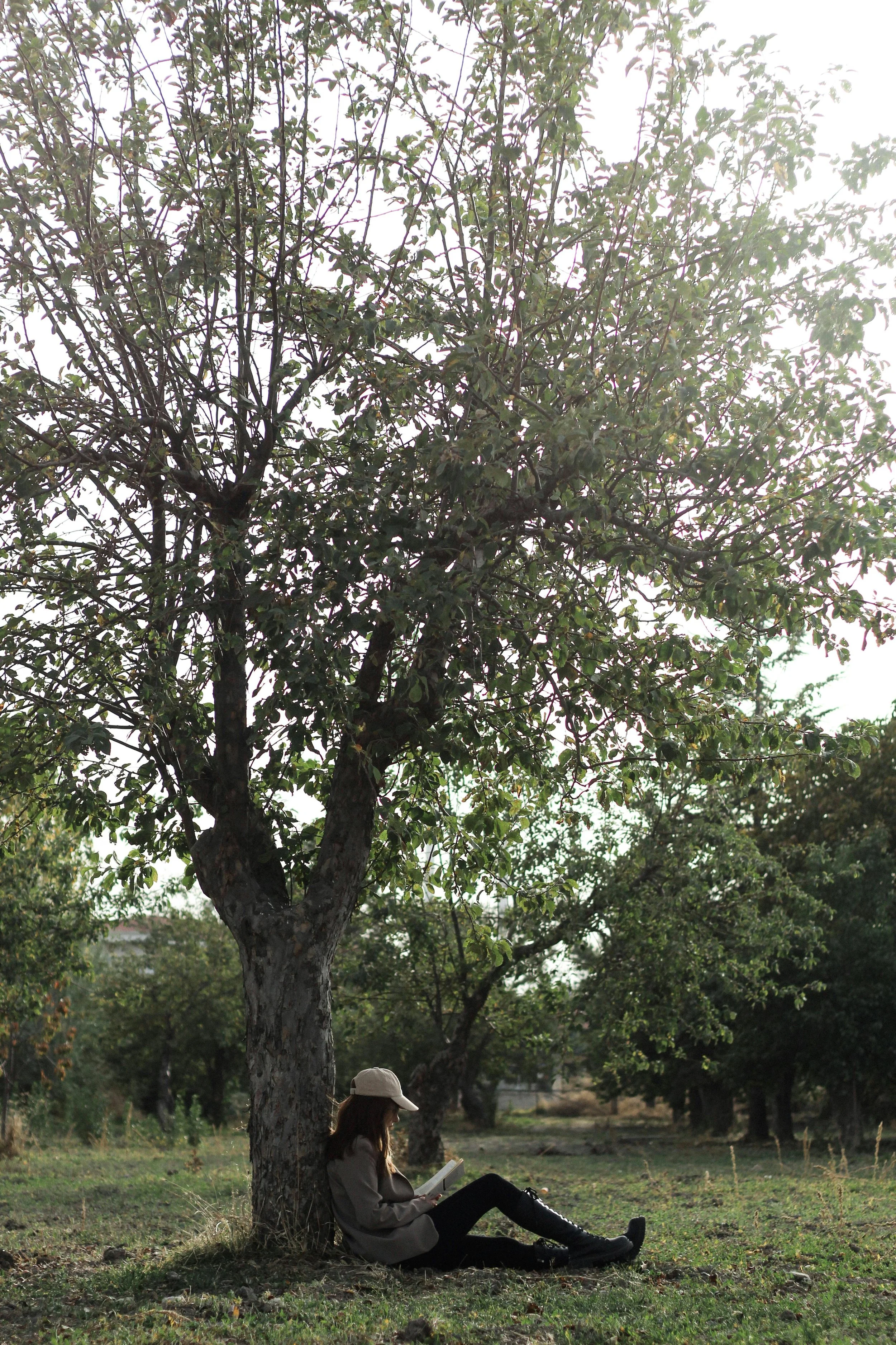 When Good Things Become Heavy: Learning to Abide