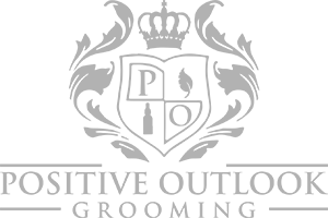 Positive Outlook Grooming Charlotte, NC