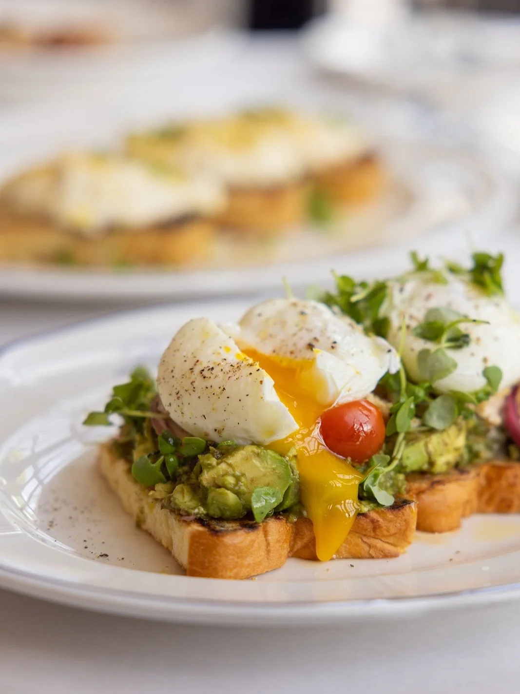 Prime brunch at JoJo&rsquo;s Bar includes Lobster Avocado Toast. 

Brioche toast, tomato, pickled onion, lobster, poached eggs. 

Served weekends from 11am-3pm.