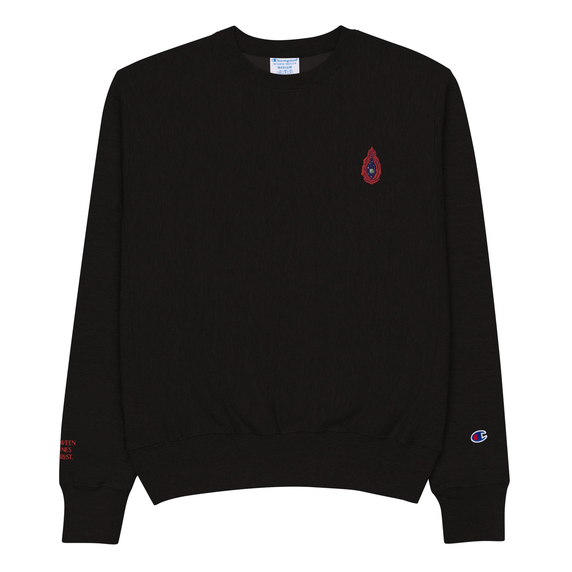 mens-champion-sweatshirt-black-front-6599c53e4a1b2.jpg