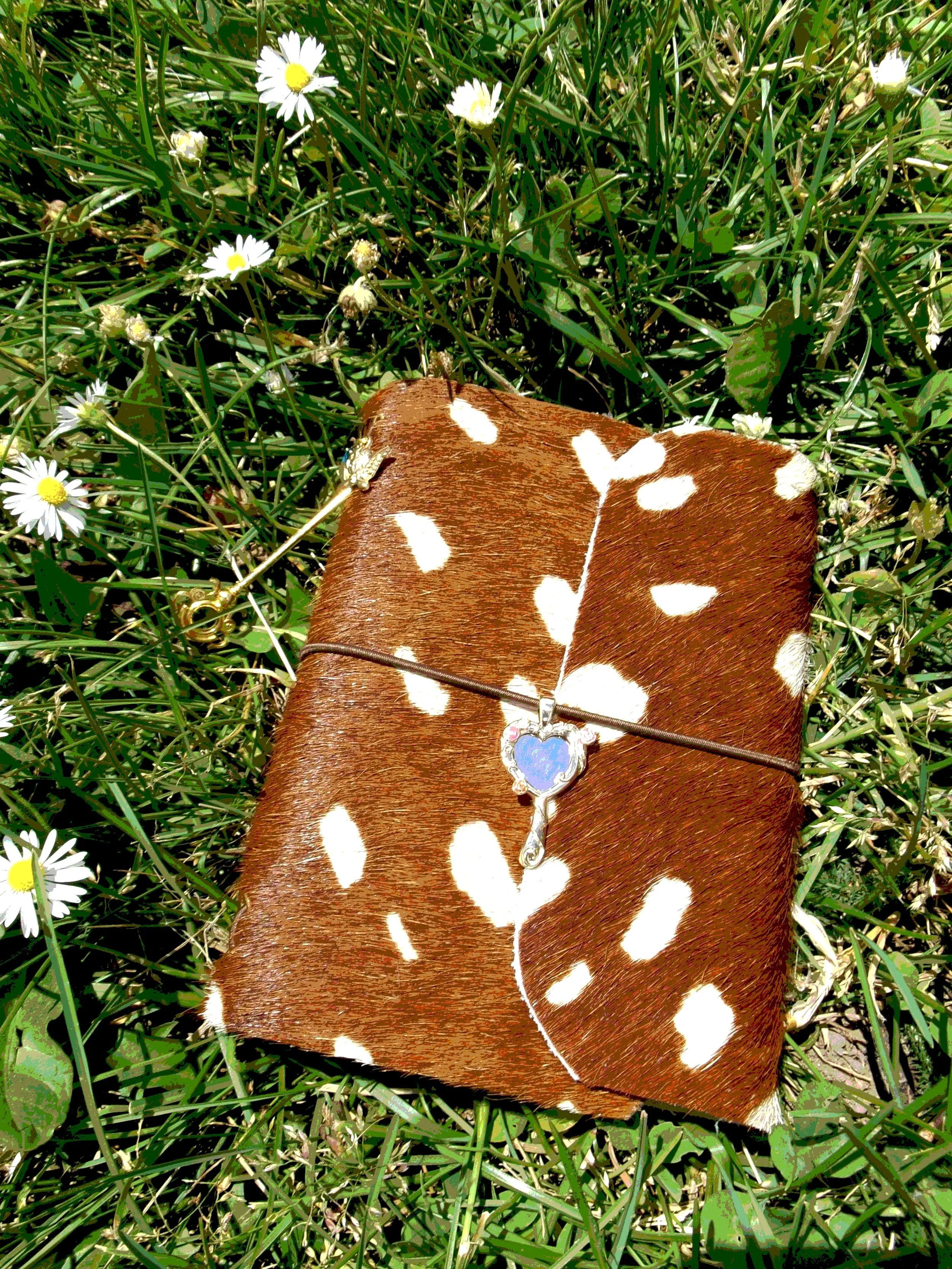 100_2063.jpg