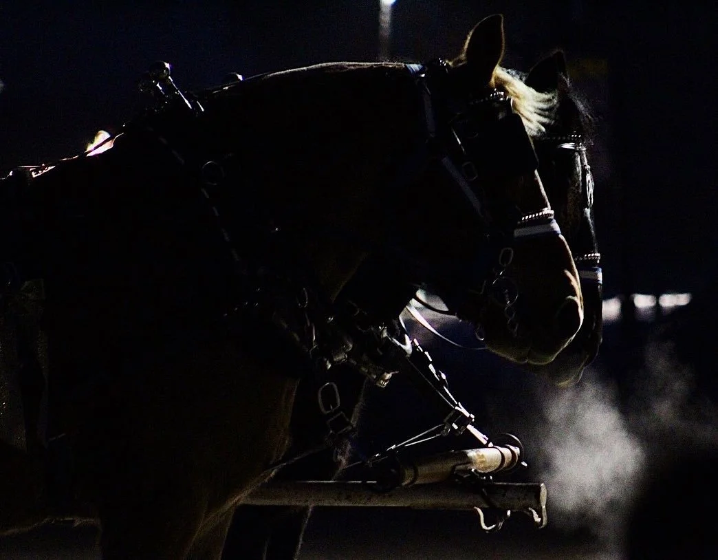 Photo Dec 09, 2 00 57 PM.jpg