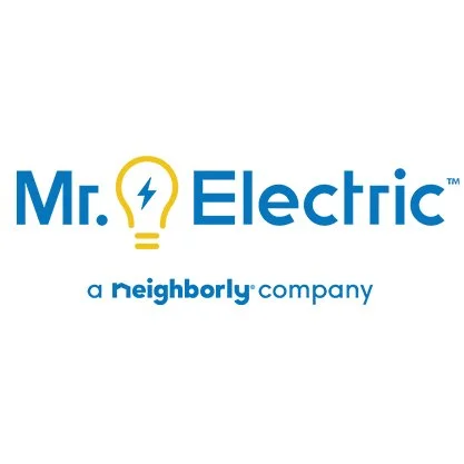 Mr. Electric