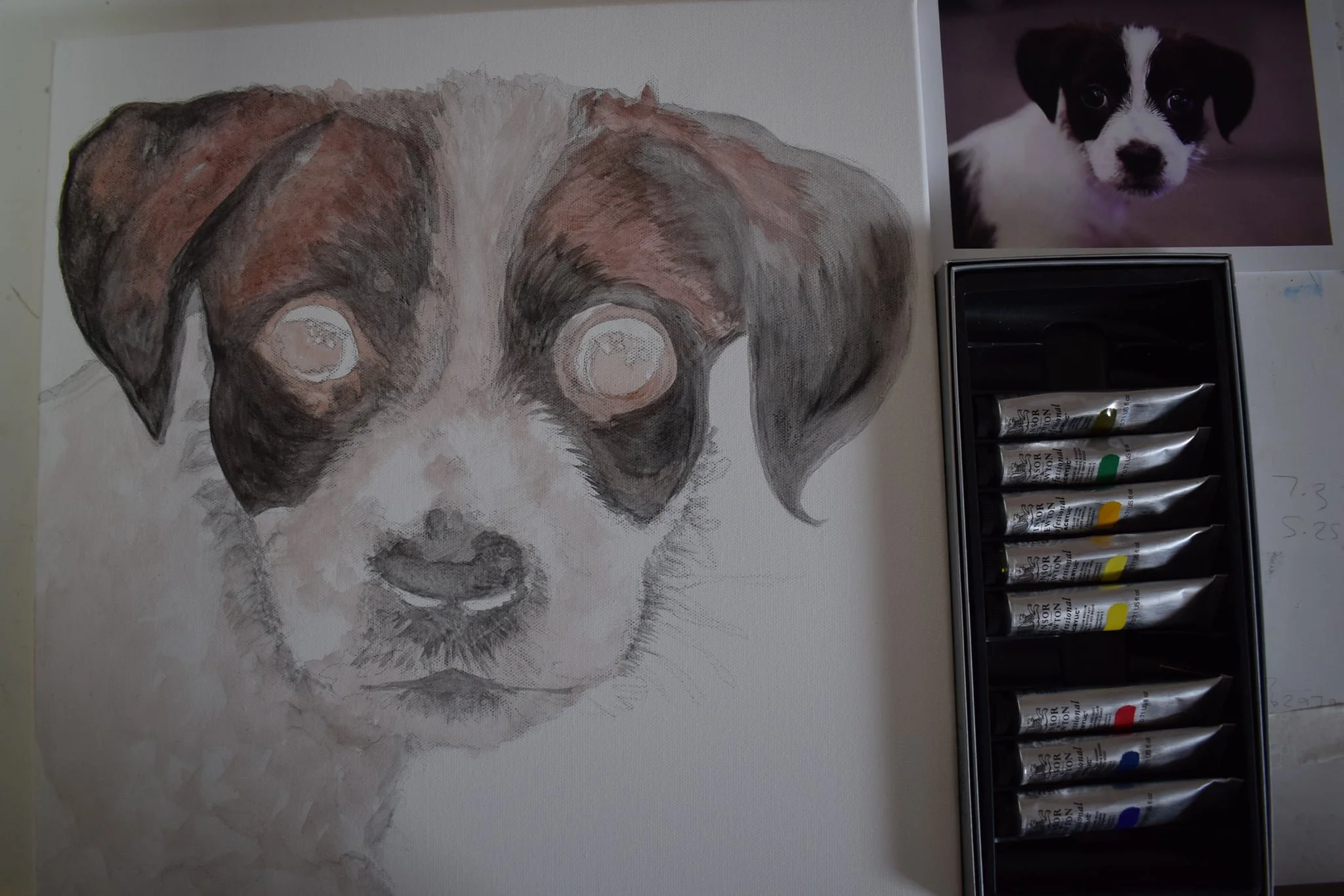 dog 4.jpg