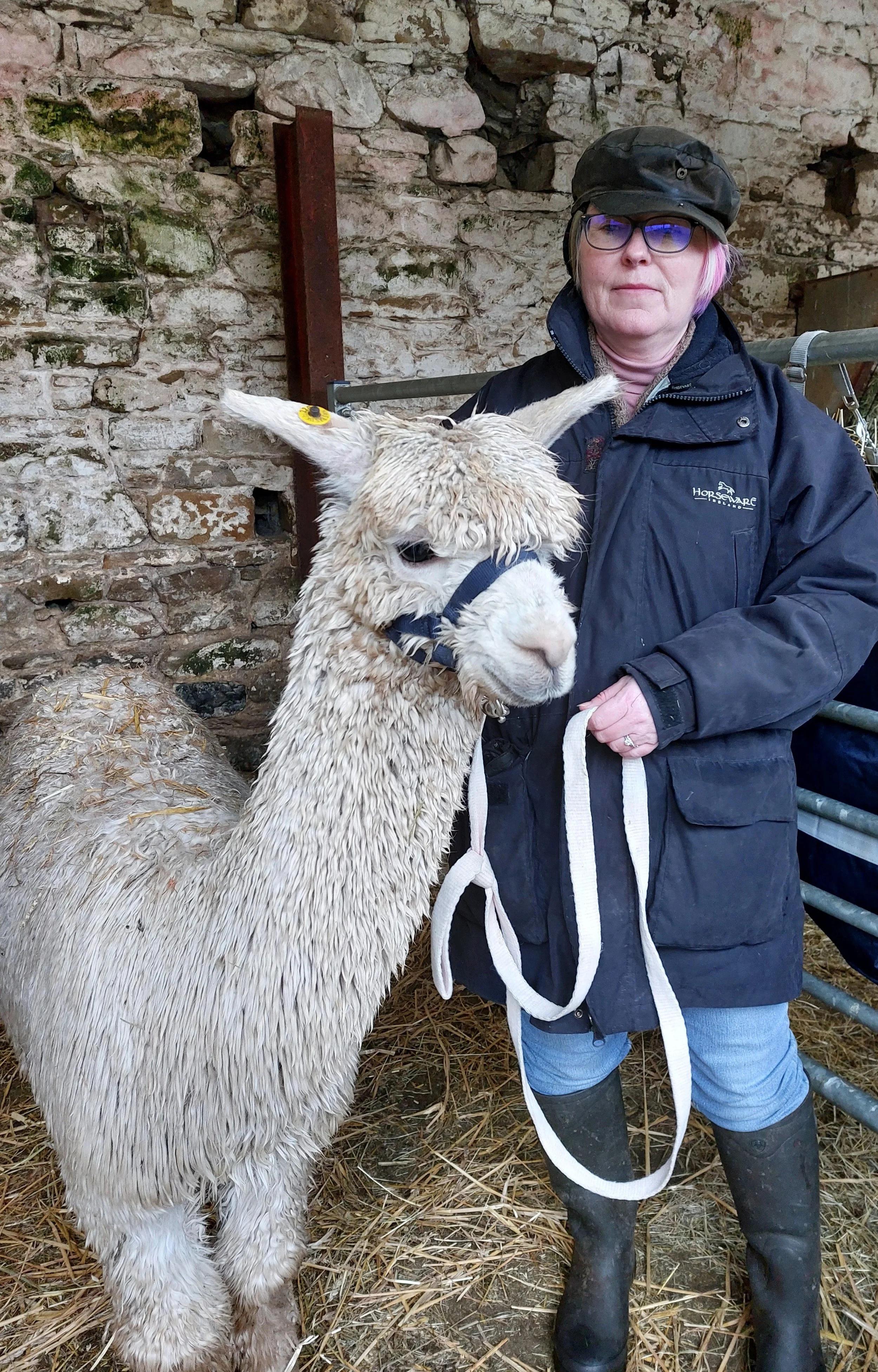 Bev and alpaca.jpeg