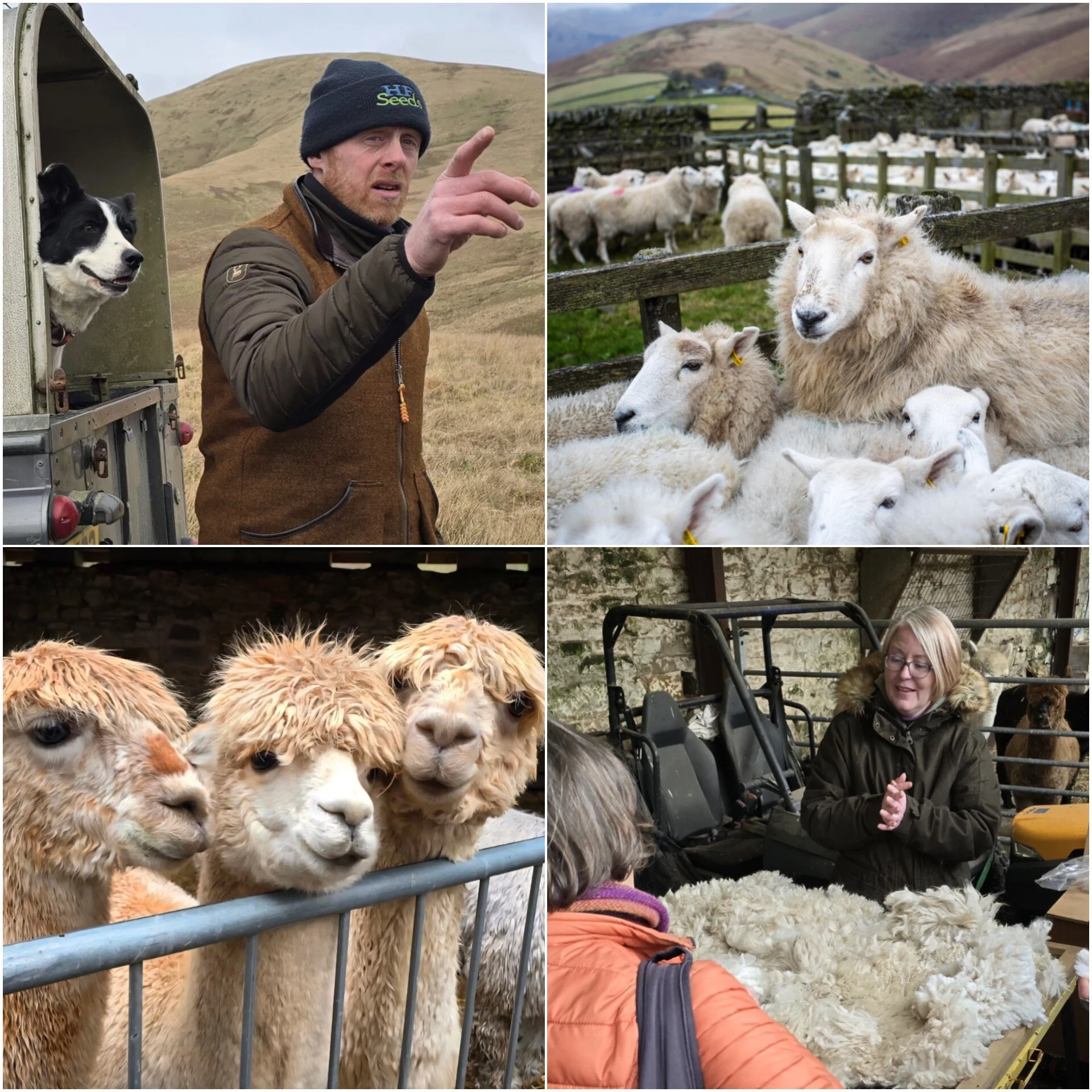 Collage for Burnfoot and Hebbs.jpeg