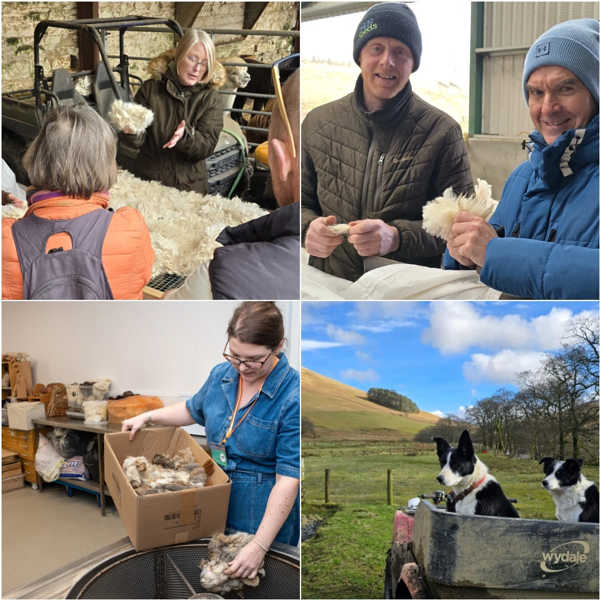 Collage of tour.jpeg