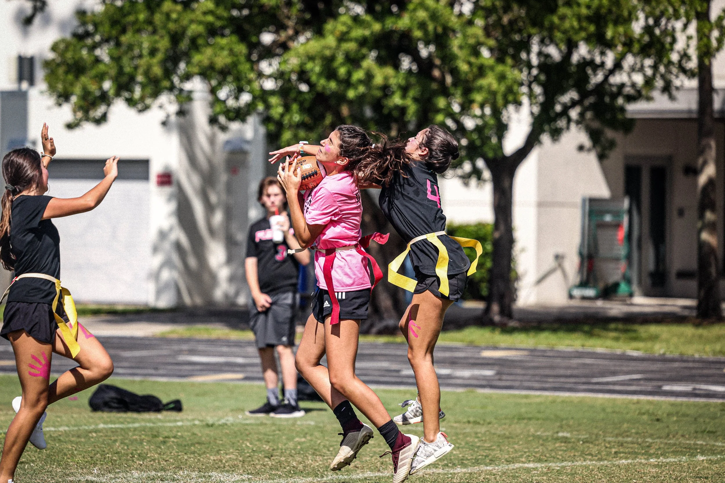 Canterburypowderpuff13.jpg
