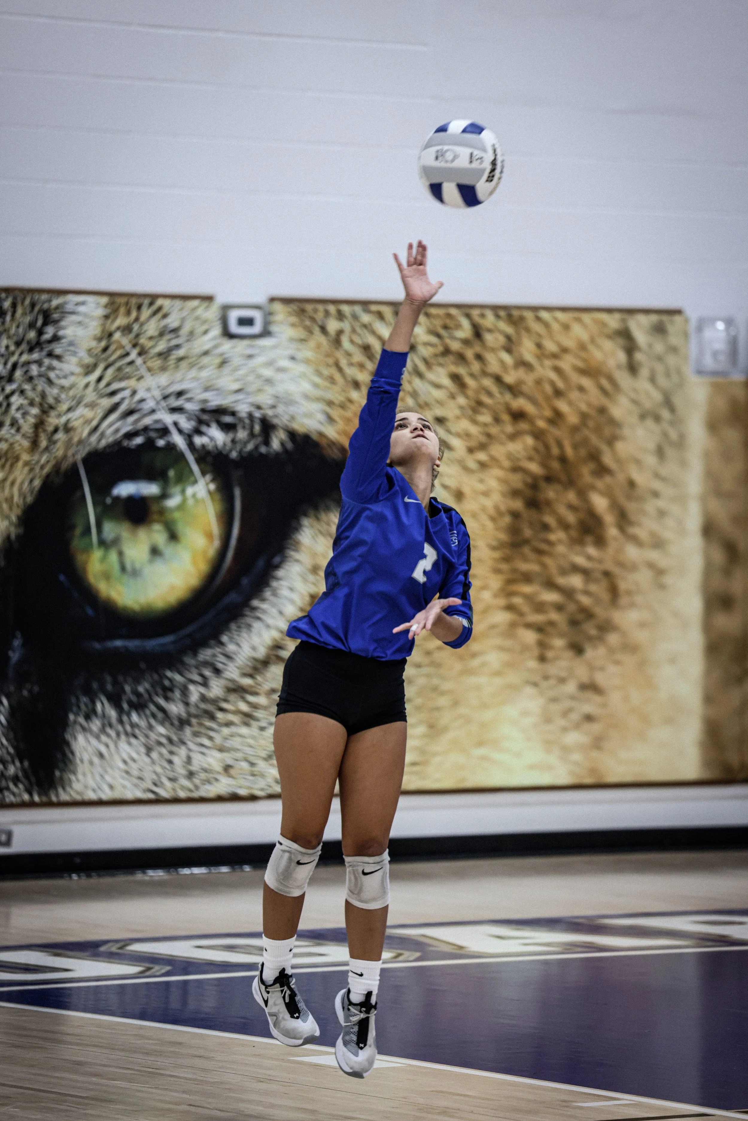 Canterburyvolleyball18.jpg
