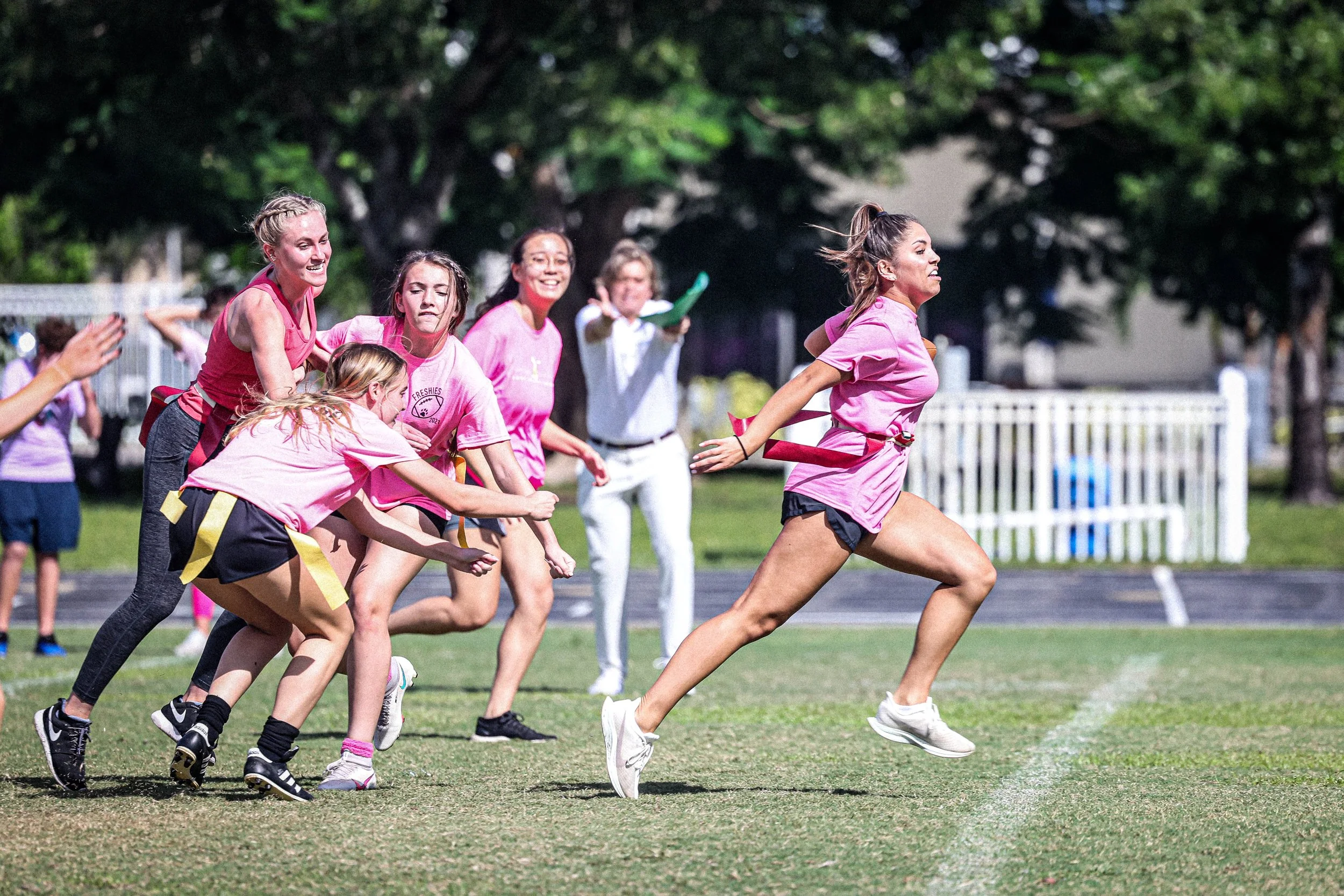 Canterburypowderpuff1.jpg