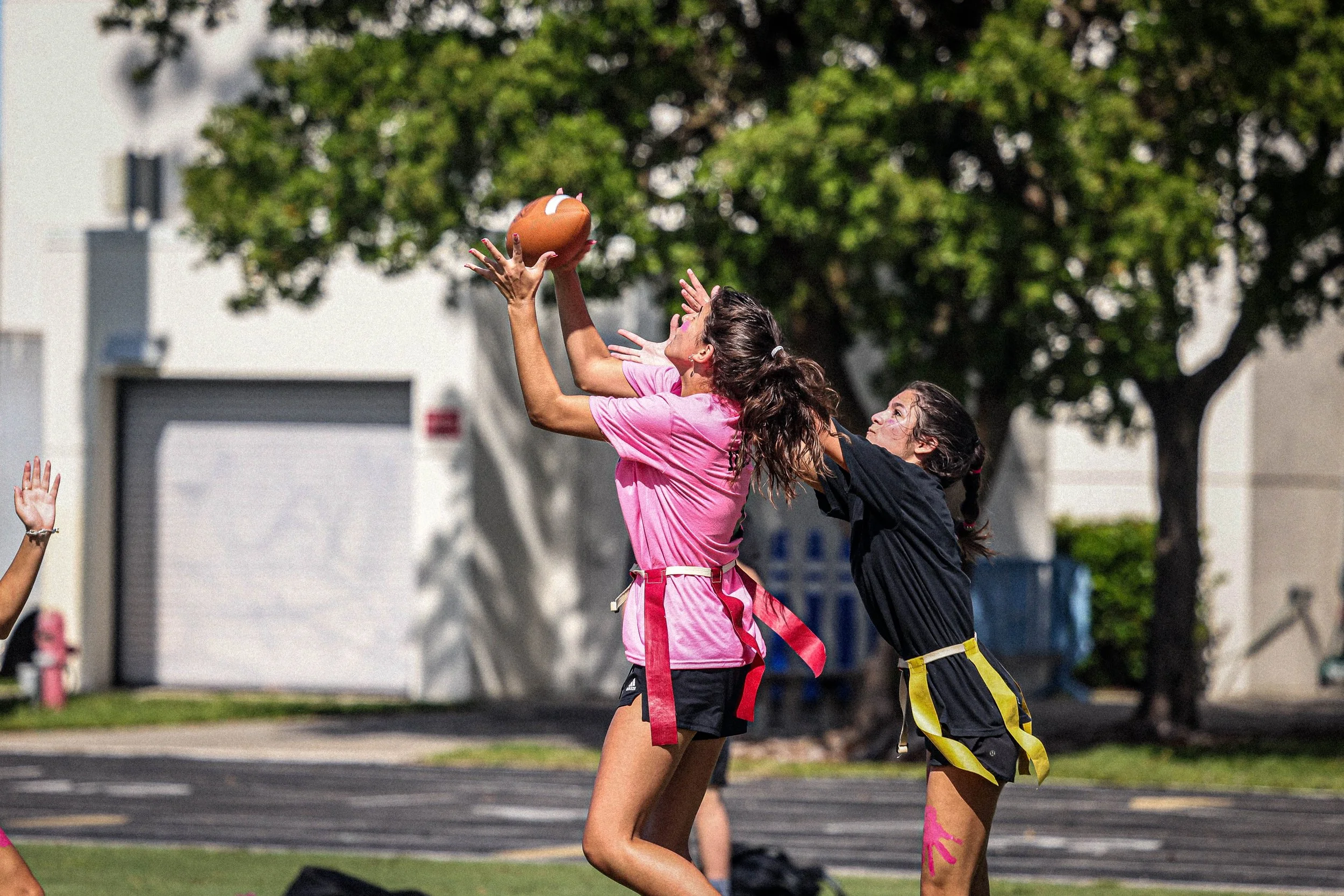 Canterburypowderpuff12.jpg