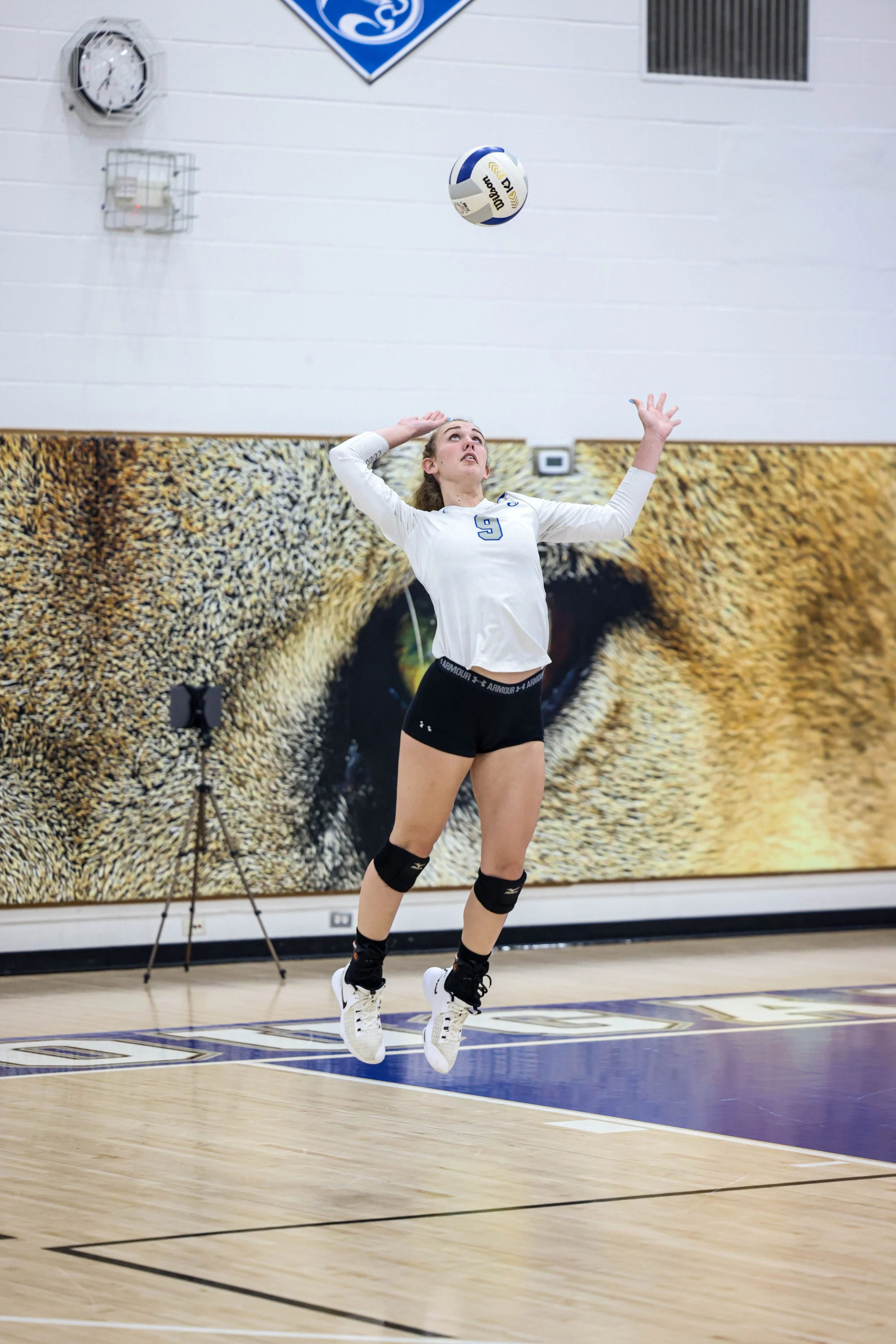 Canterburyvolleyball28.jpg