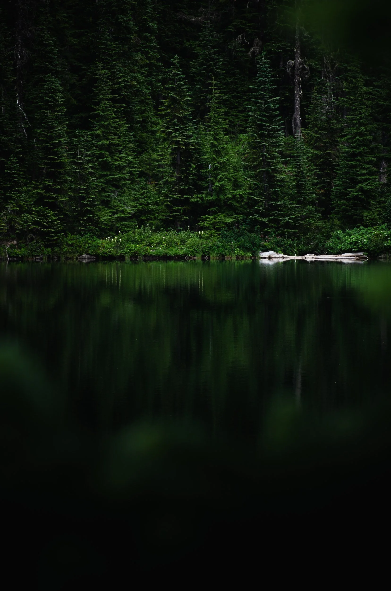 margaret lake-17.jpg