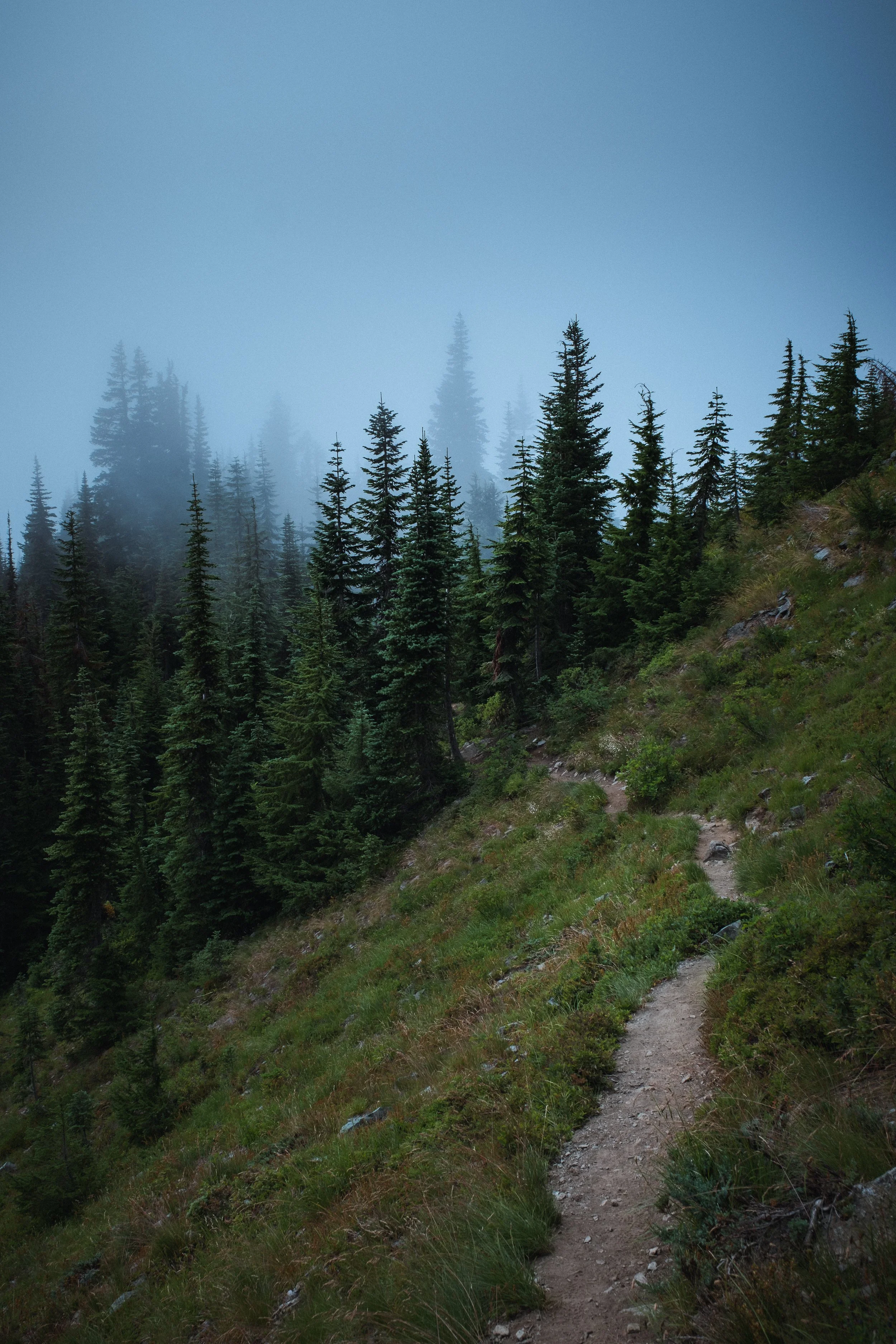 mountain outdoor photography washington state-9.jpg