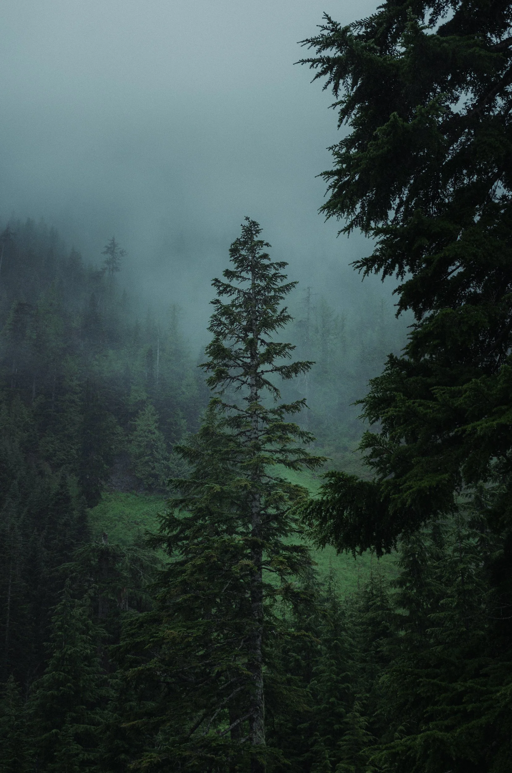 granite creek lake-1.jpg