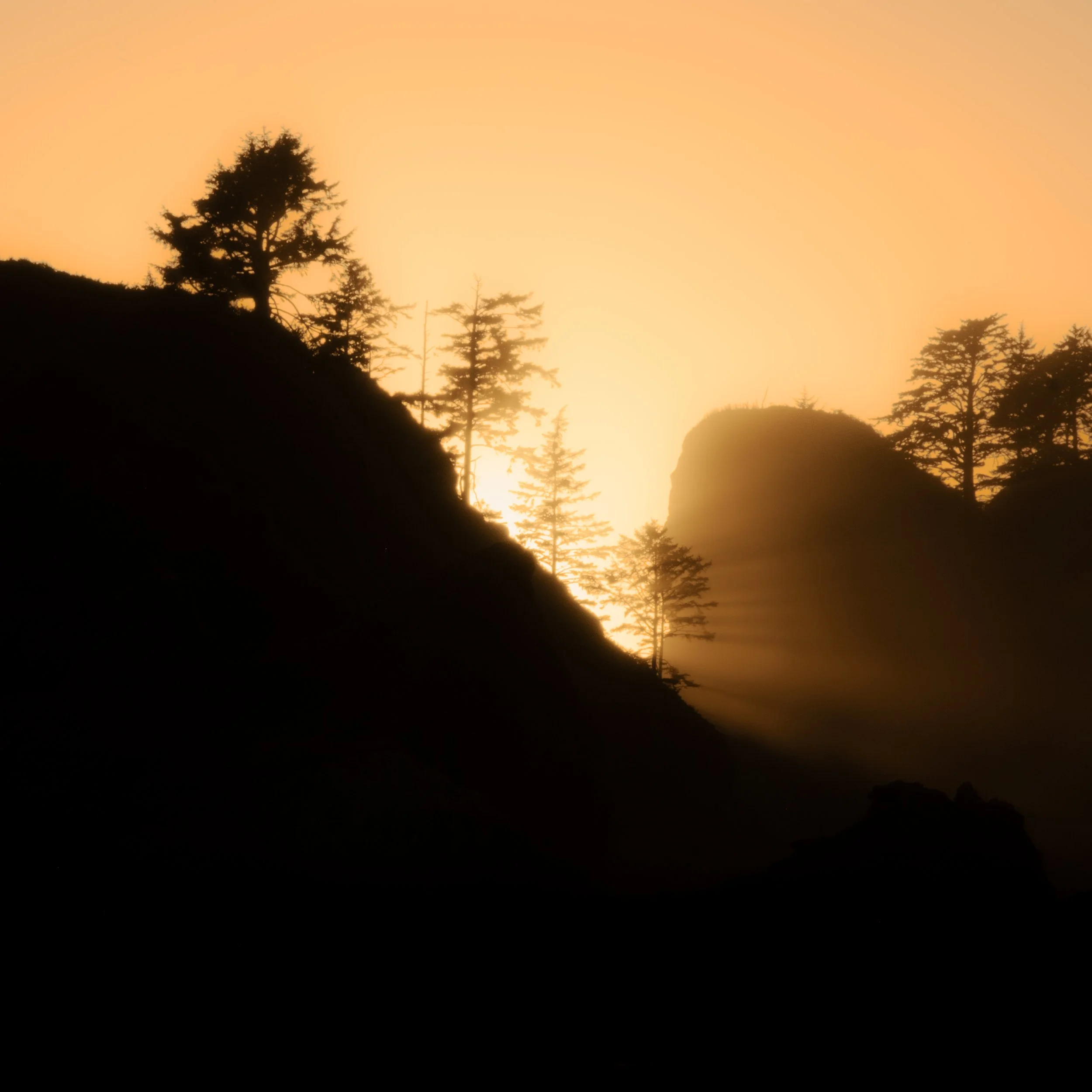 OLYMPIC_COAST_BACKPACK_2_ (12 of 22).jpg