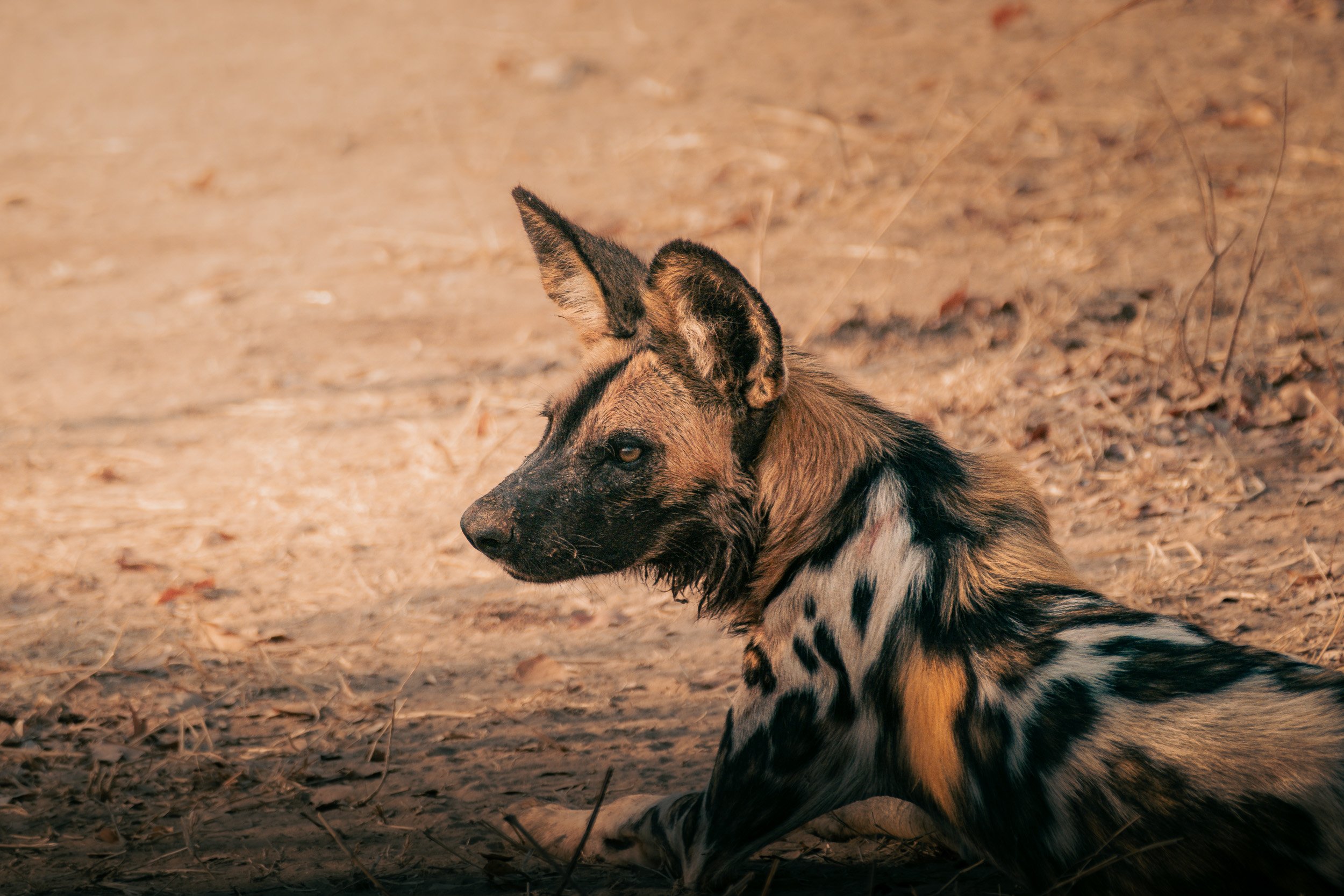 ZAMBIA_PHOTO_WORKSHOP (26 of 27).jpg