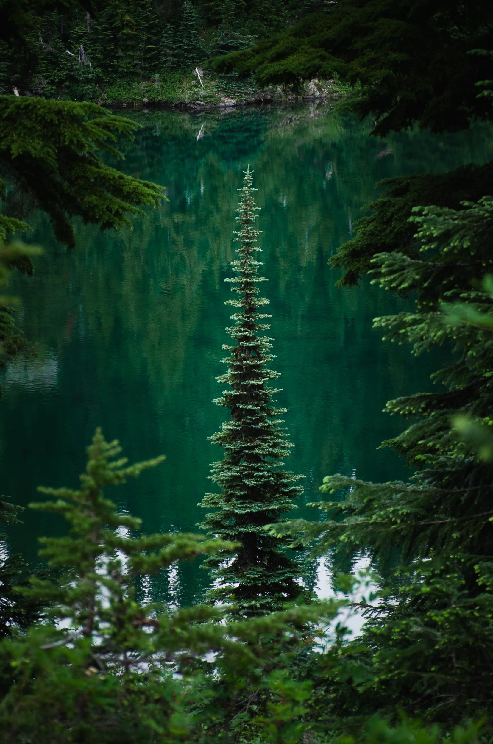 margaret lake-7.jpg