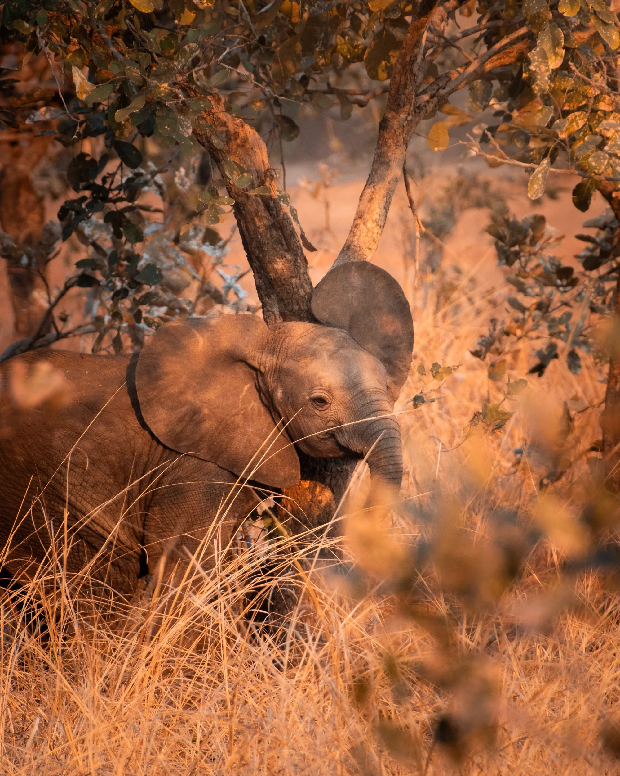 ZAMBIA_PHOTO_WORKSHOP (10 of 27).jpg