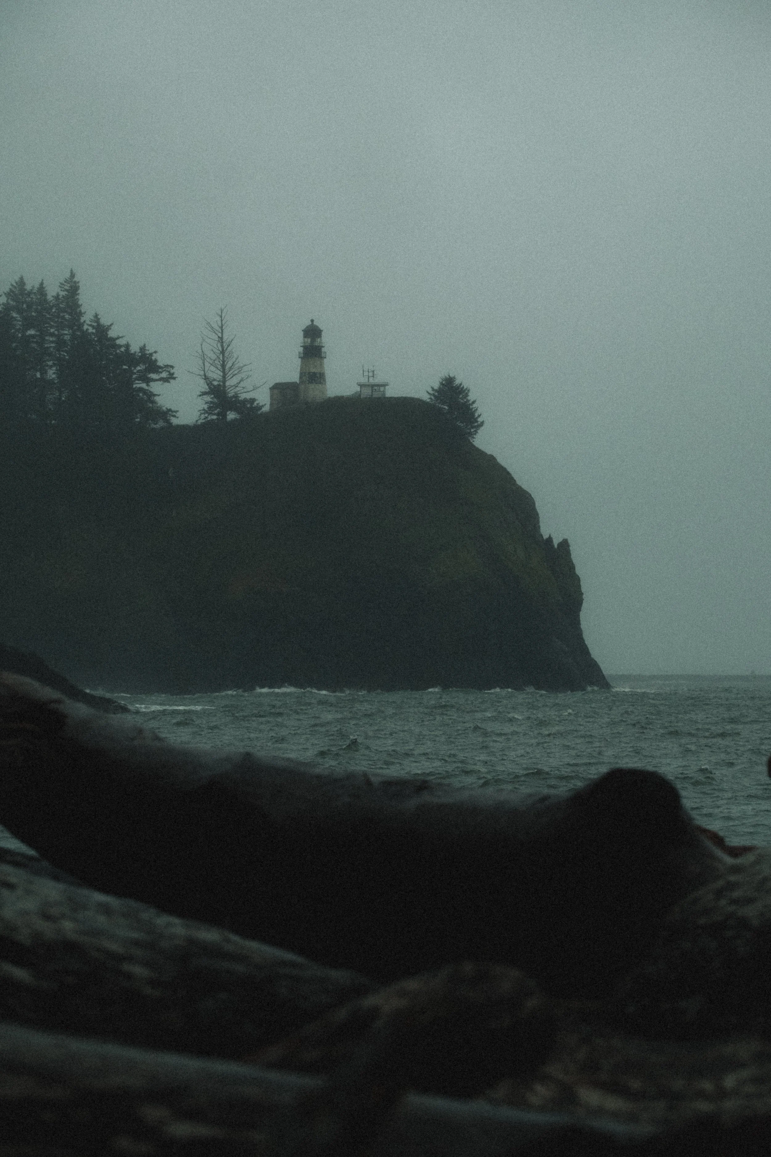 ASTORIA FORESTS TRAVEL (26 of 38).jpg