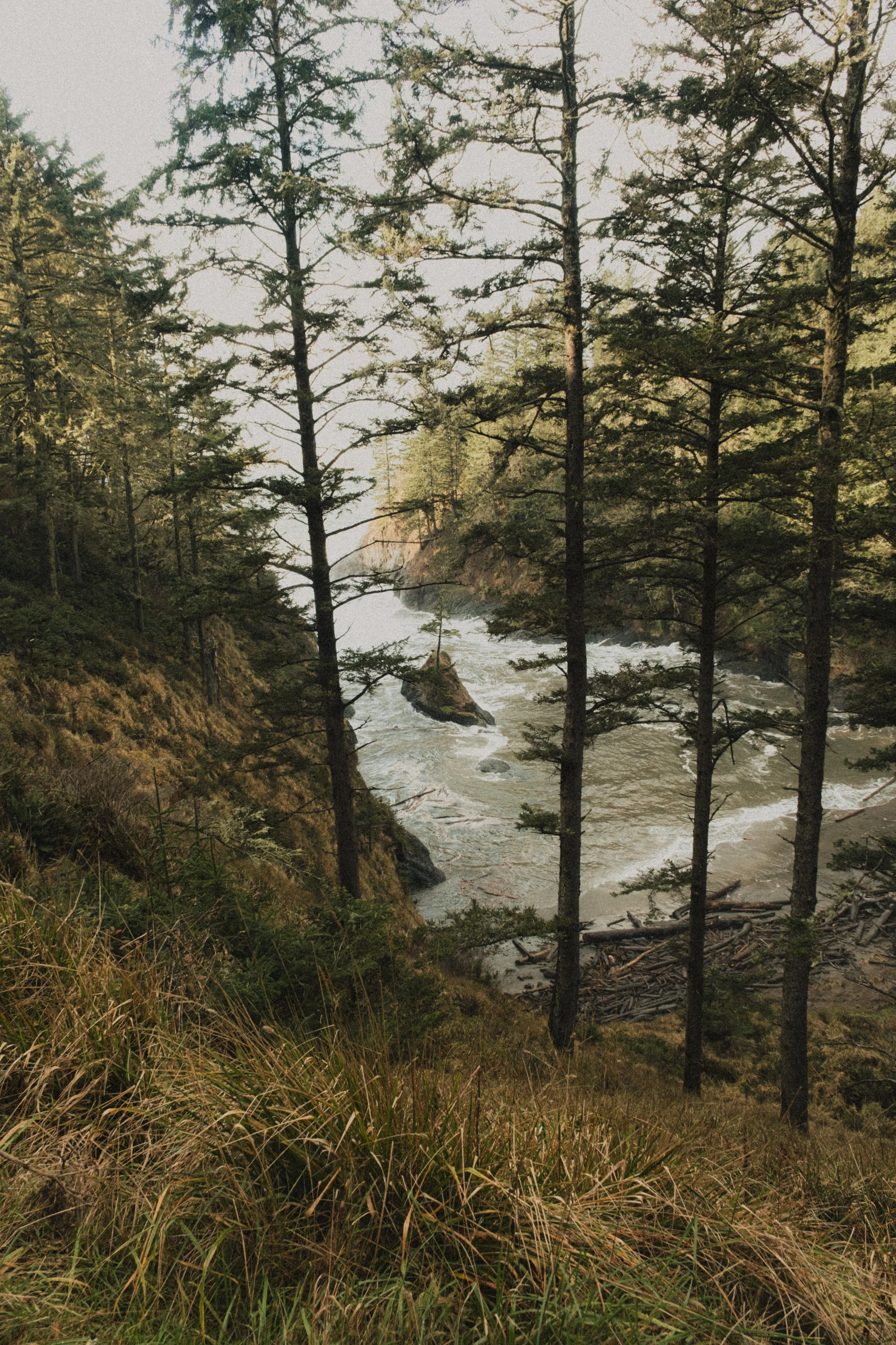 ASTORIA FORESTS TRAVEL (30 of 38).jpg