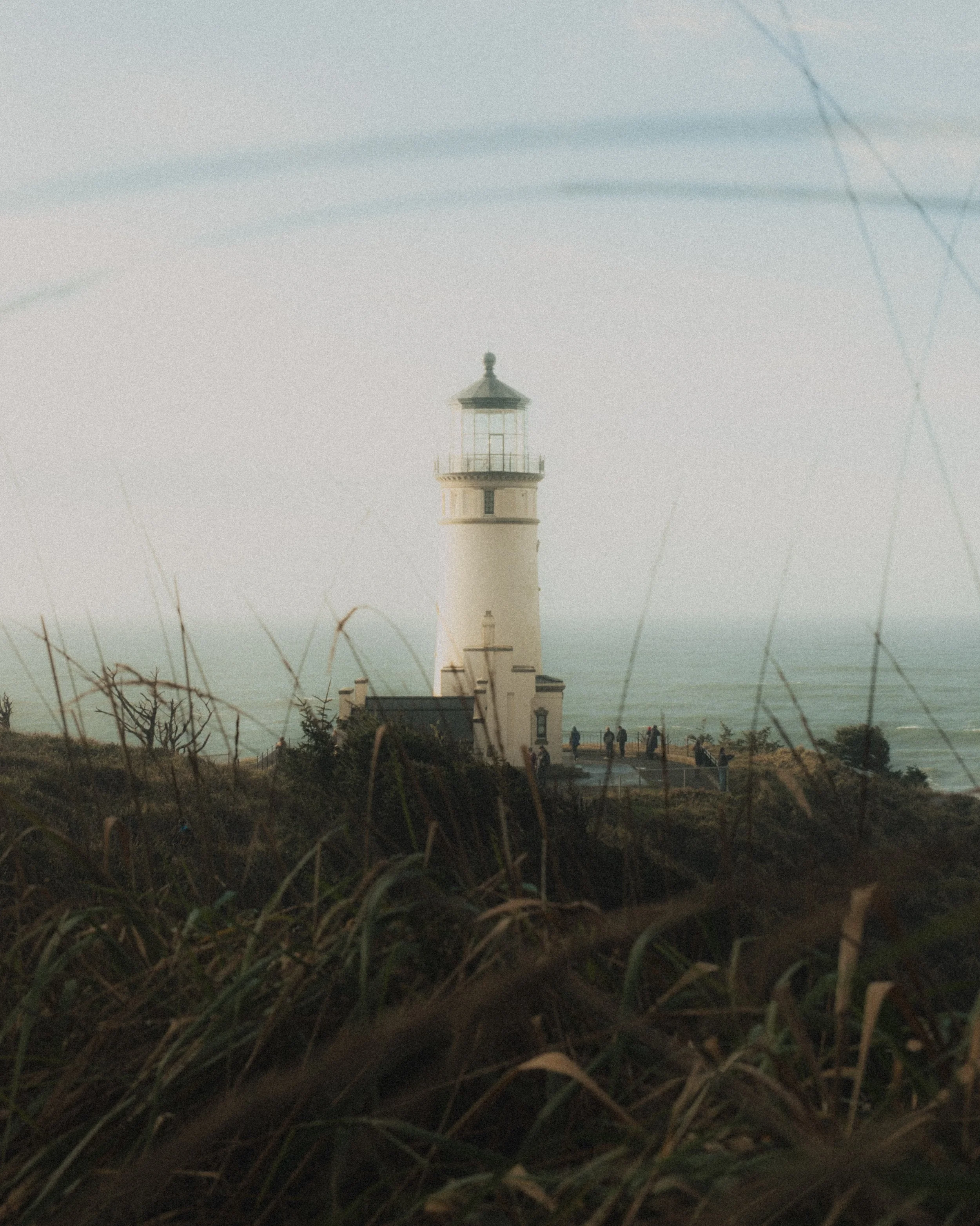 ASTORIA FORESTS TRAVEL (38 of 38).jpg