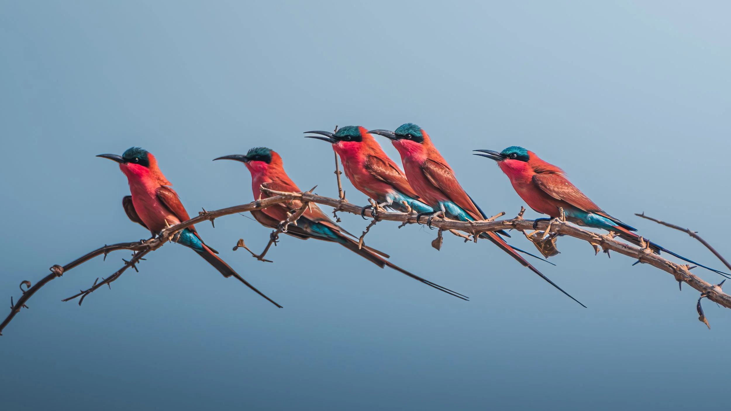 ZAMBIA_PRINT_EDITS_QUINNAEBI (5 of 10).jpg