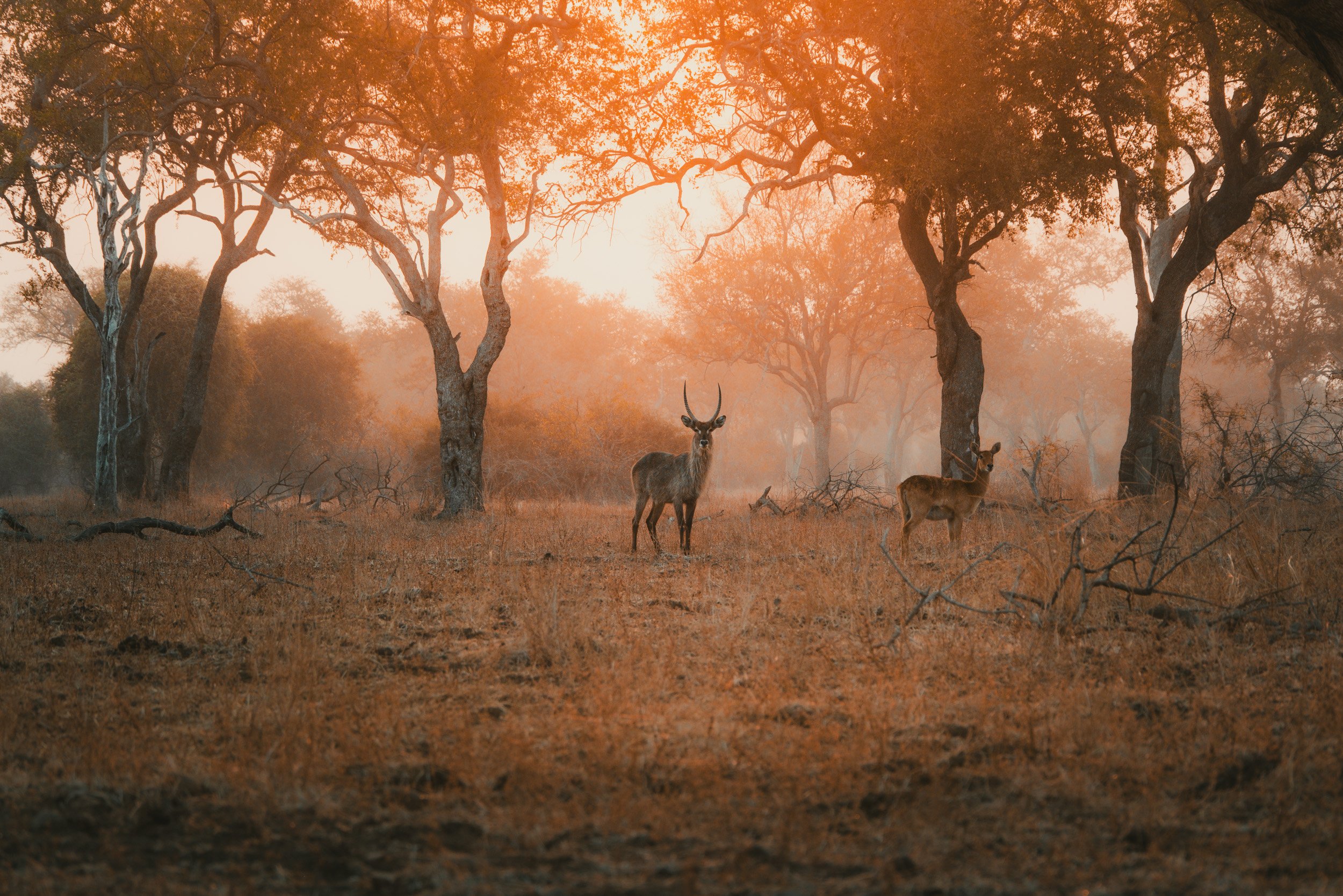 ZAMBIA_PHOTO_WORKSHOP (9 of 27).jpg