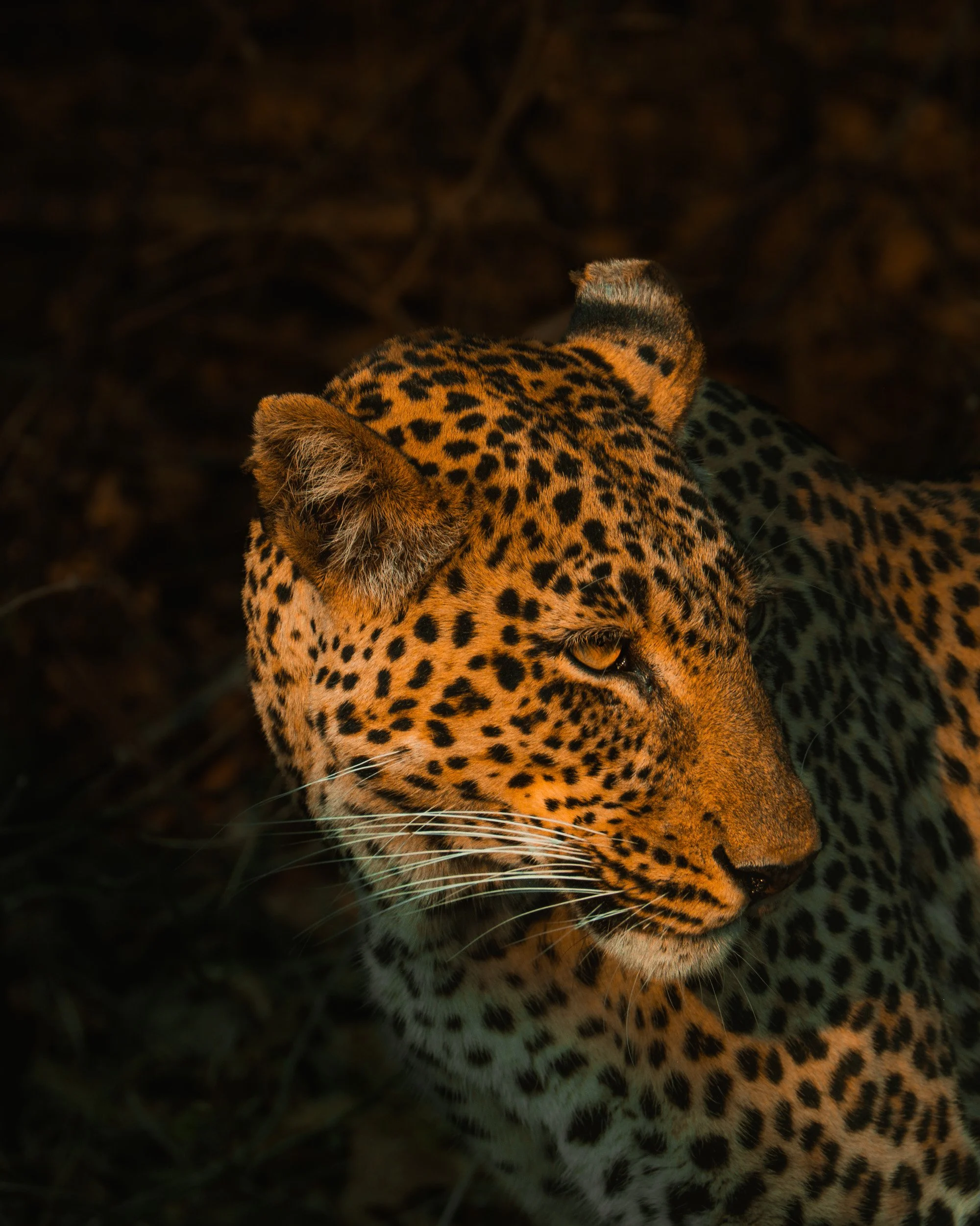 ZAMBIA_PHOTO_WORKSHOP (16 of 27).jpg