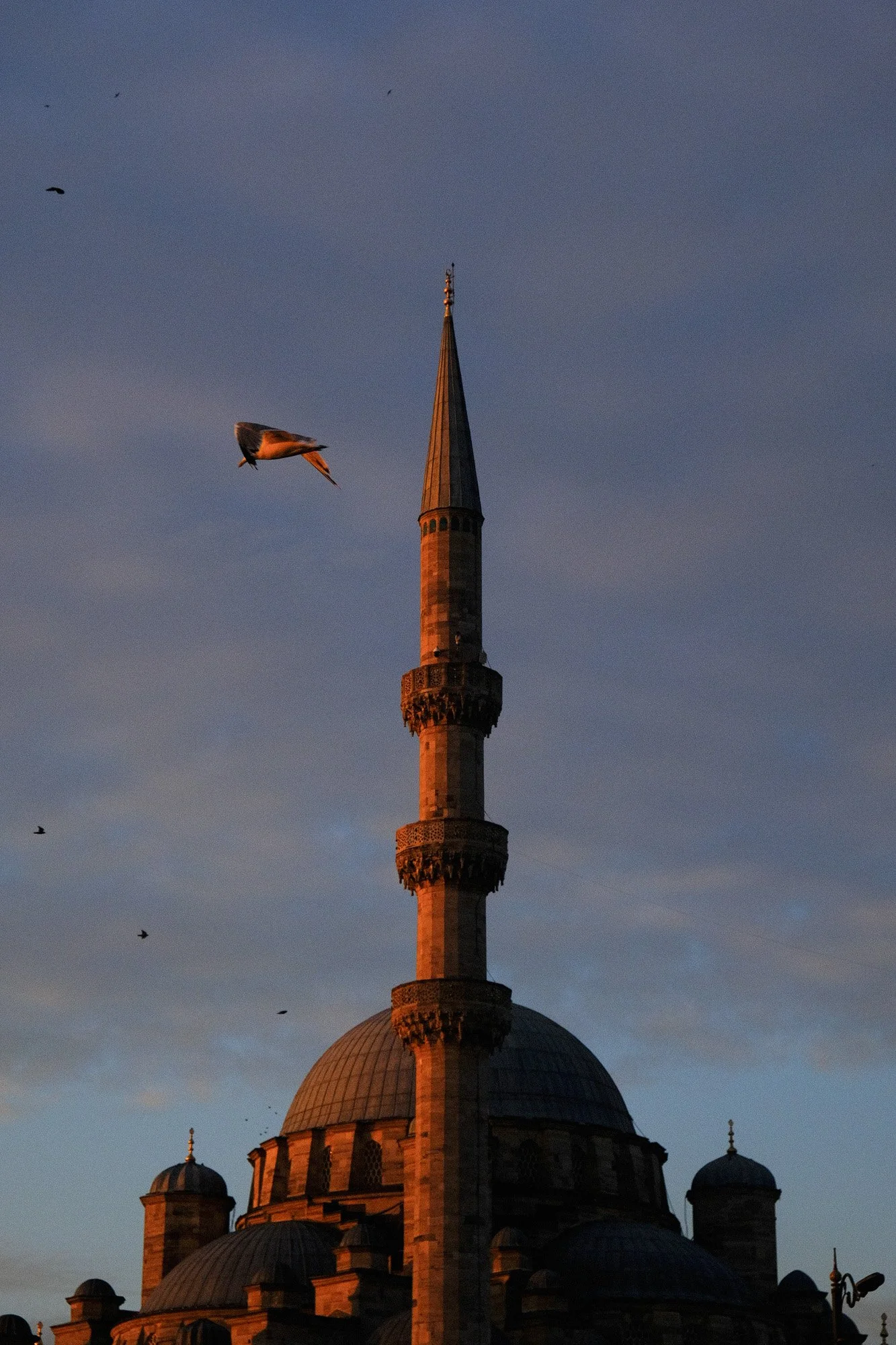 ISTANBUL STREET PHOTOGRAPHY-4-2.jpg