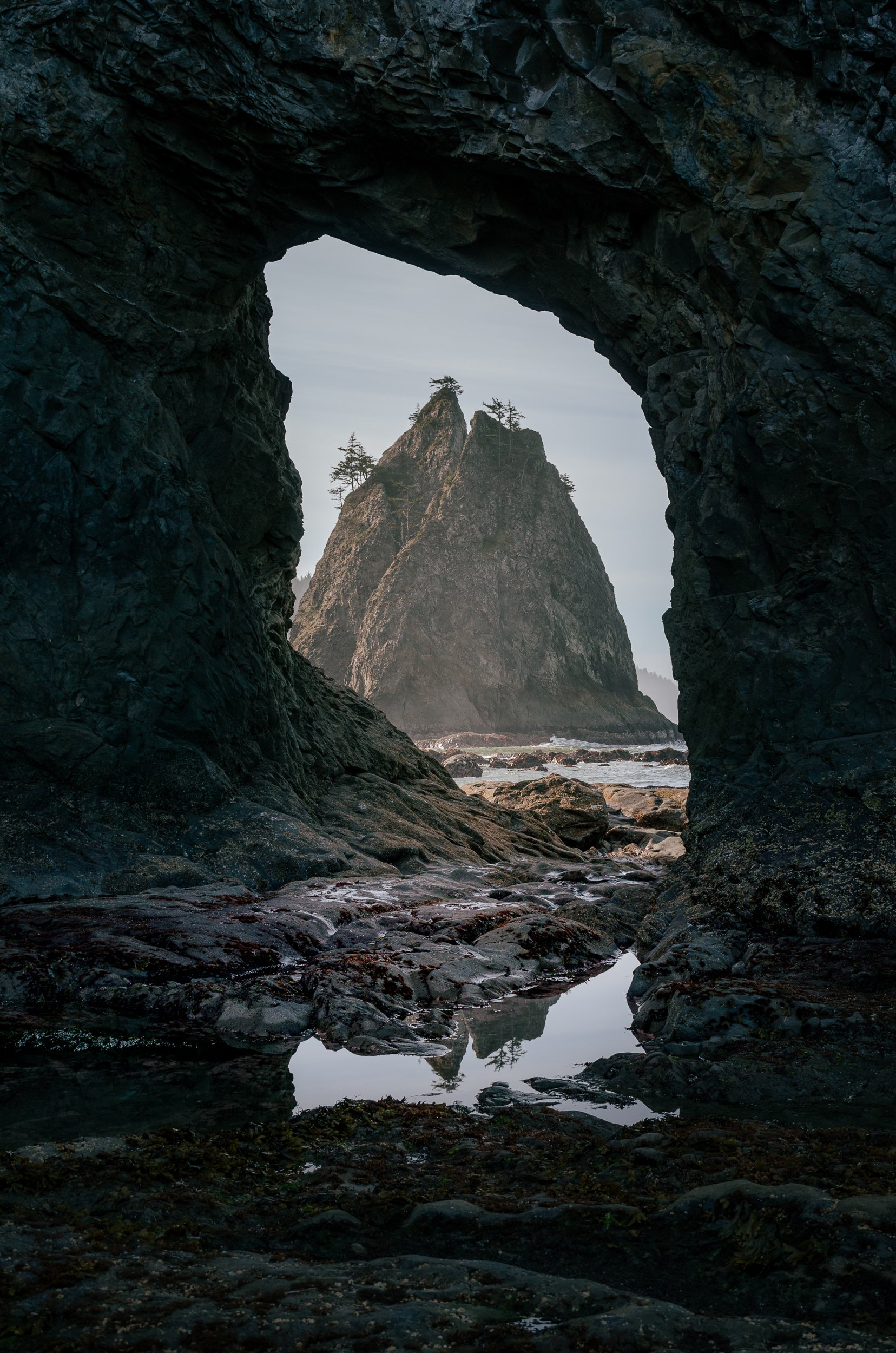 olympic peninsula washington coast-18.jpg