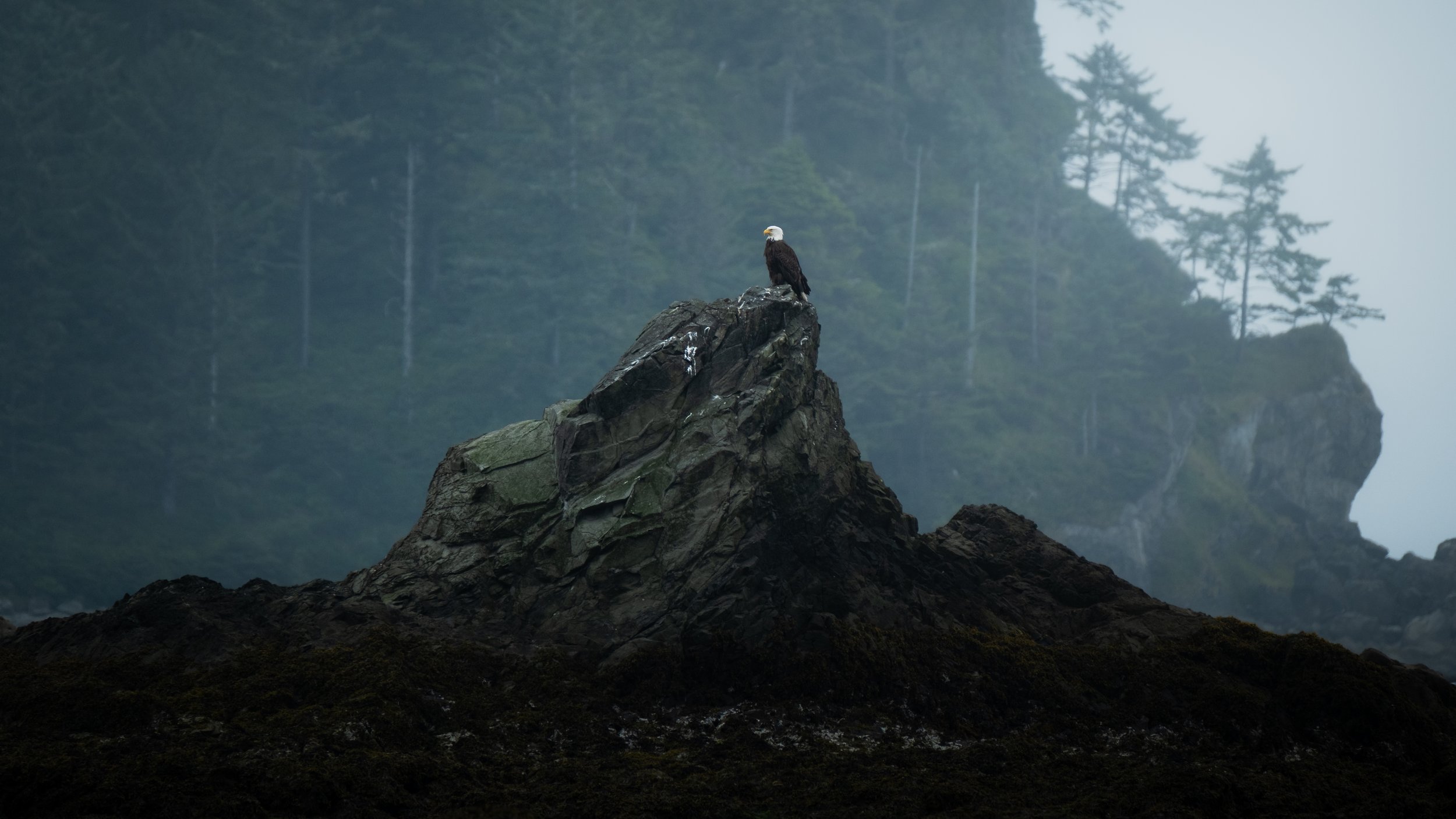 OLYMPIC_COAST_BACKPACK (32 of 36).jpg